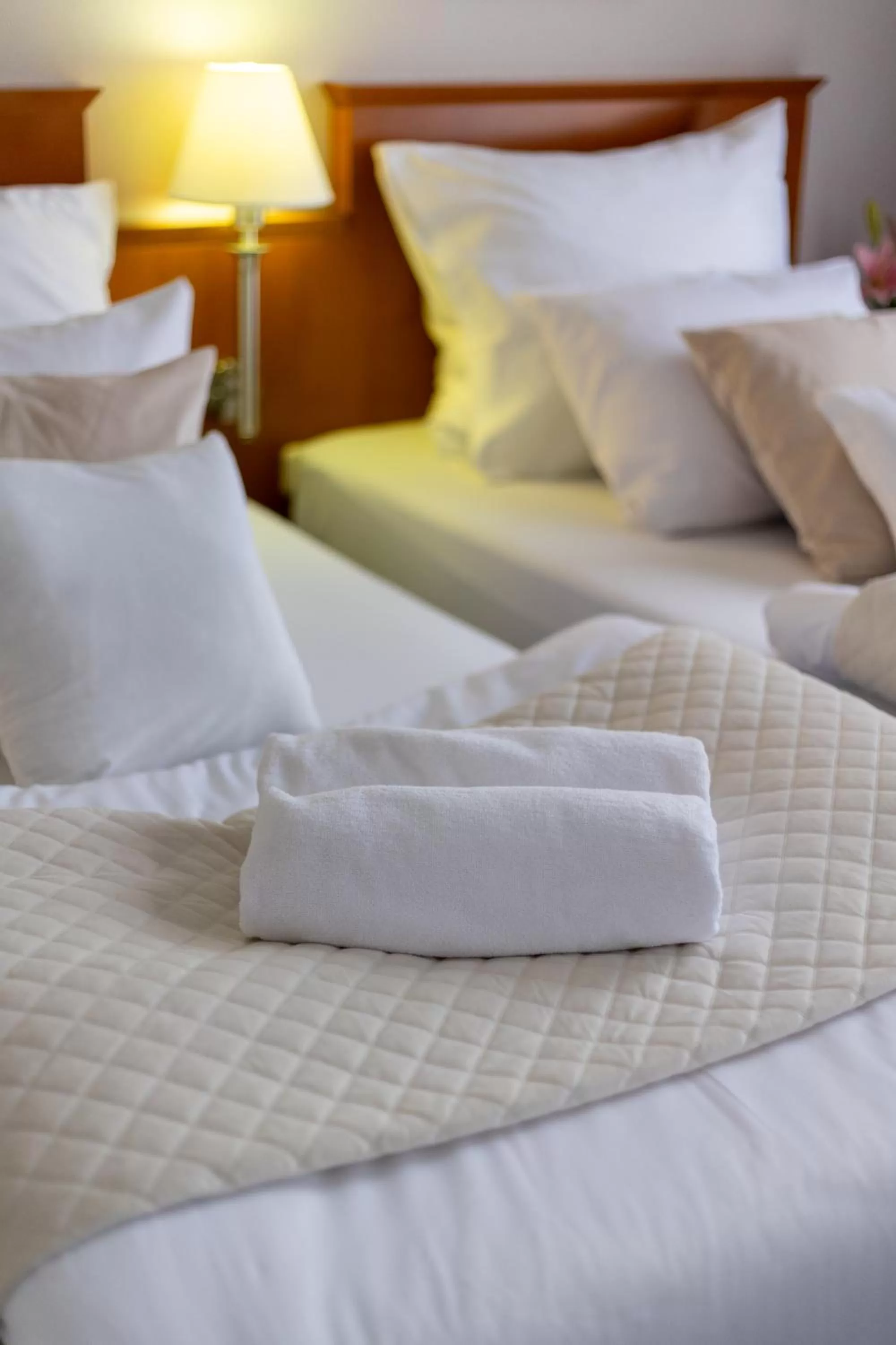 Bed in Hotel Sofia by The Railway Station Wroclaw