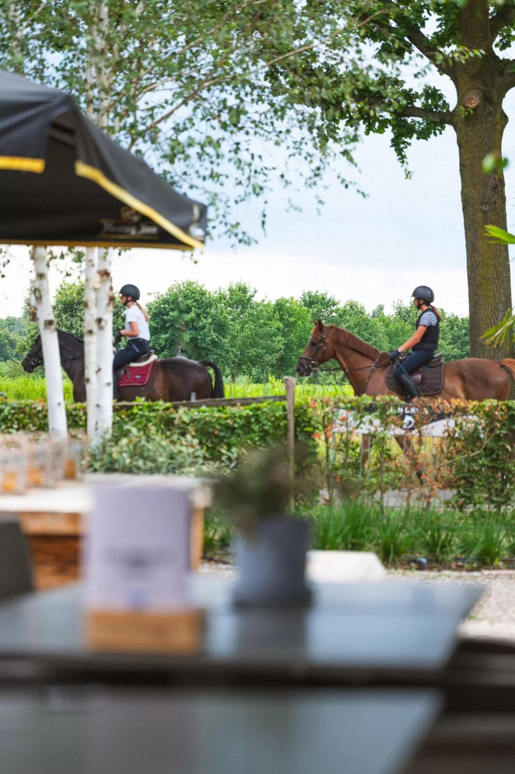 Restaurant/places to eat in Hotel Restaurant D'n Dries