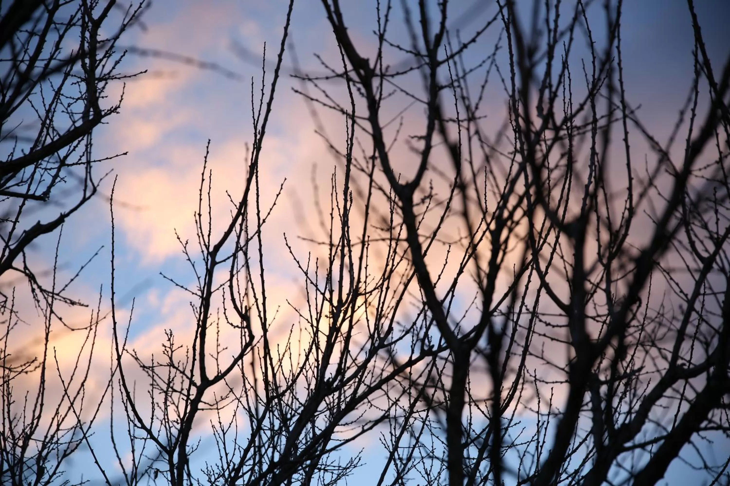 Area and facilities, Sunrise/Sunset in Machanents Art Hotel