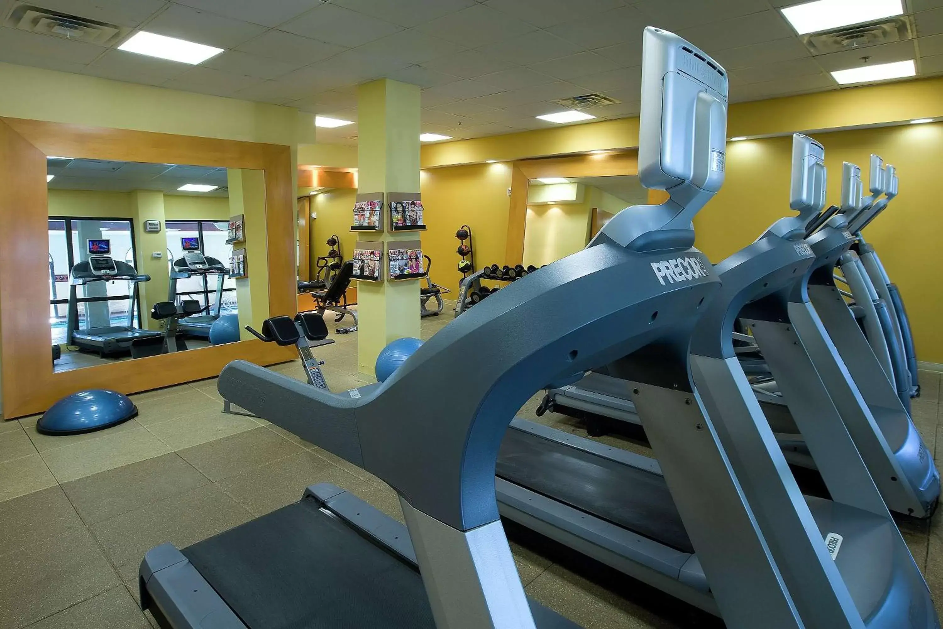 Fitness centre/facilities, Fitness Center/Facilities in Embassy Suites by Hilton Kansas City International Airport