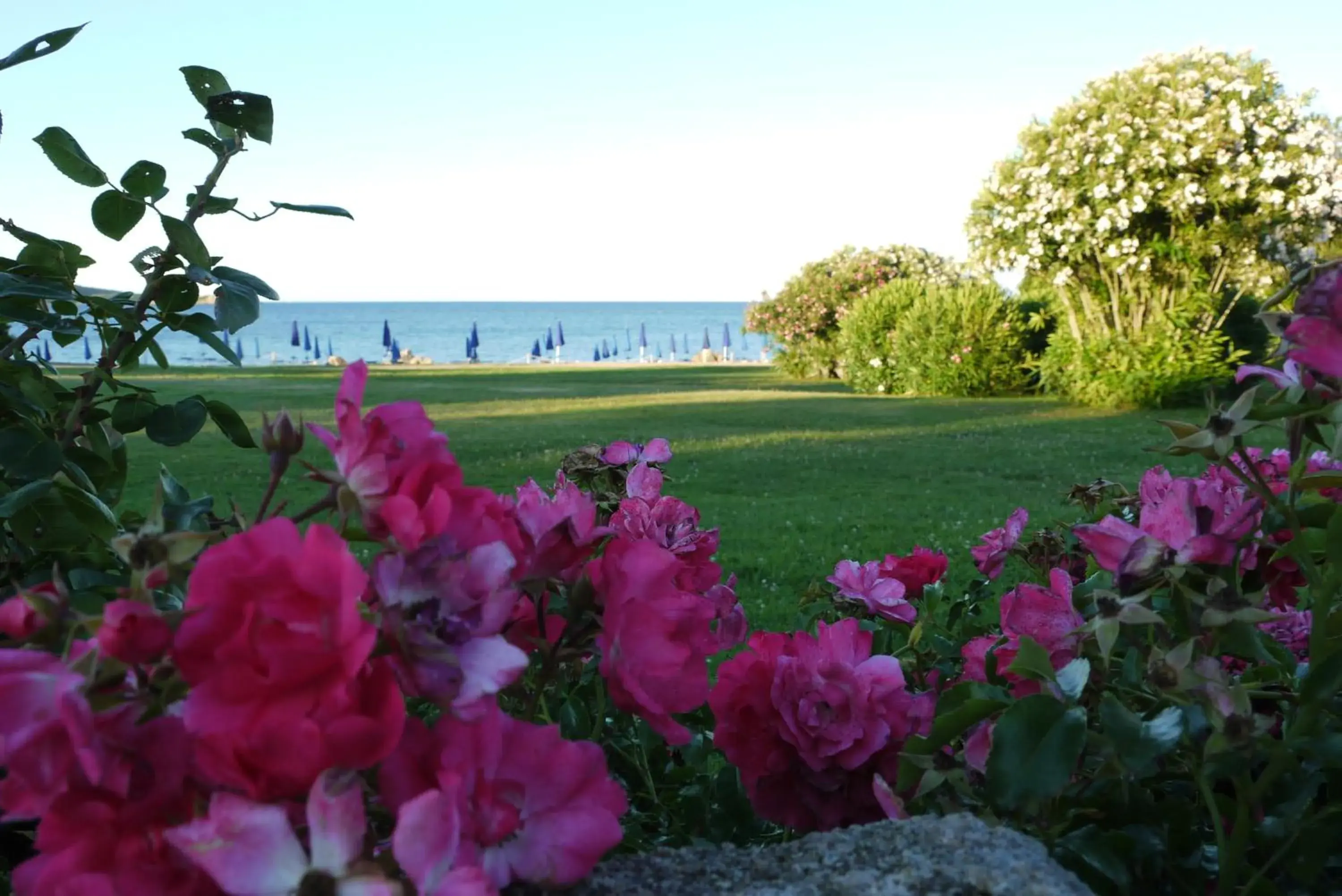 View (from property/room), Garden in Due Lune Puntaldia Resort & Golf