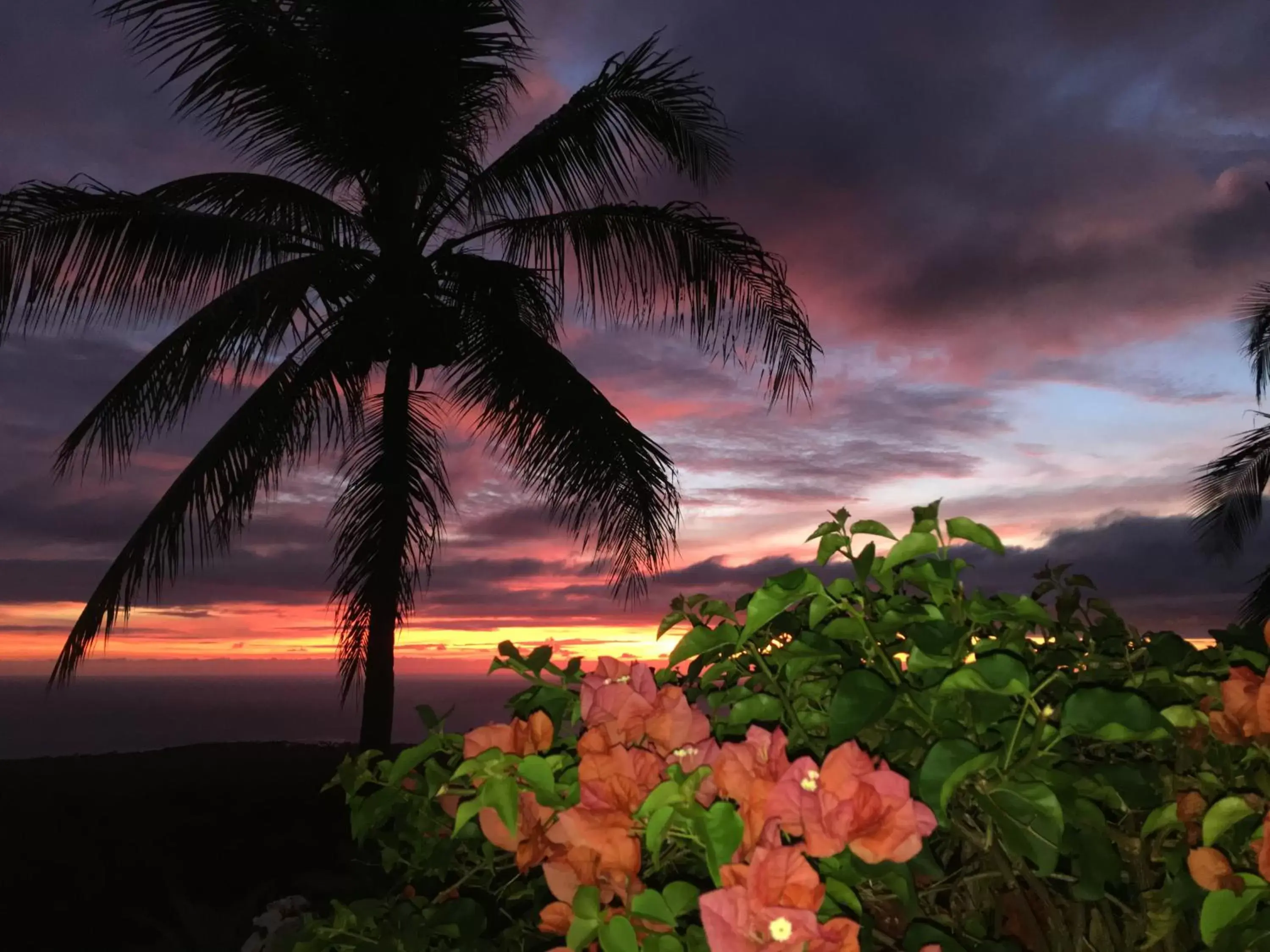 Sunset, Sunrise/Sunset in Kona Bayview Inn