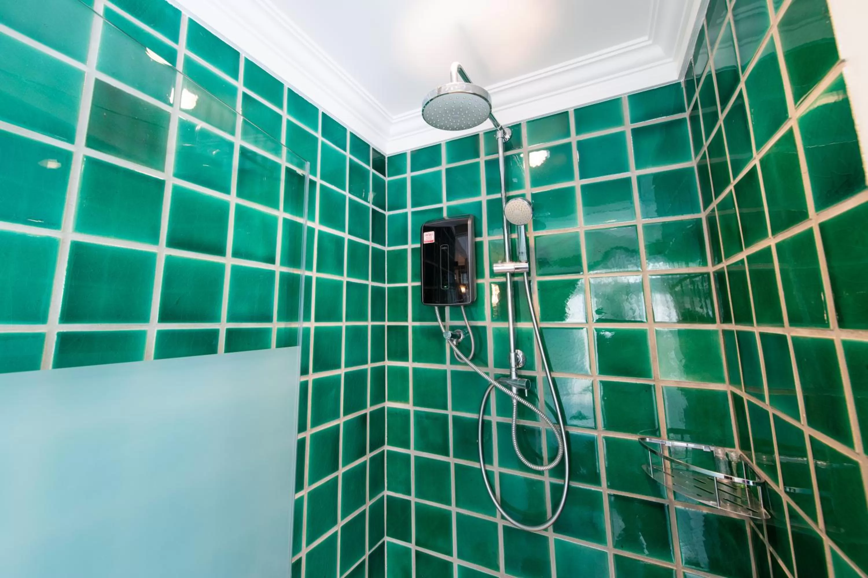 Shower in The Orchid House 153