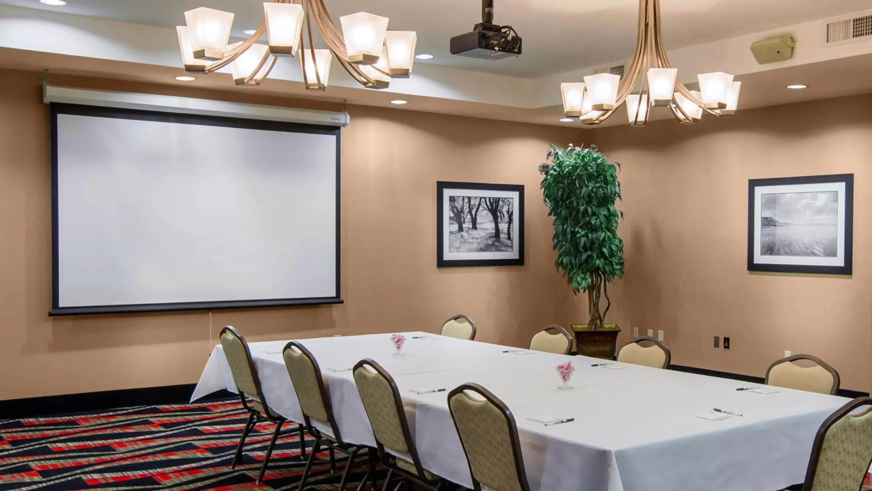 Meeting/conference room in Holiday Inn Oklahoma City Airport, an IHG Hotel