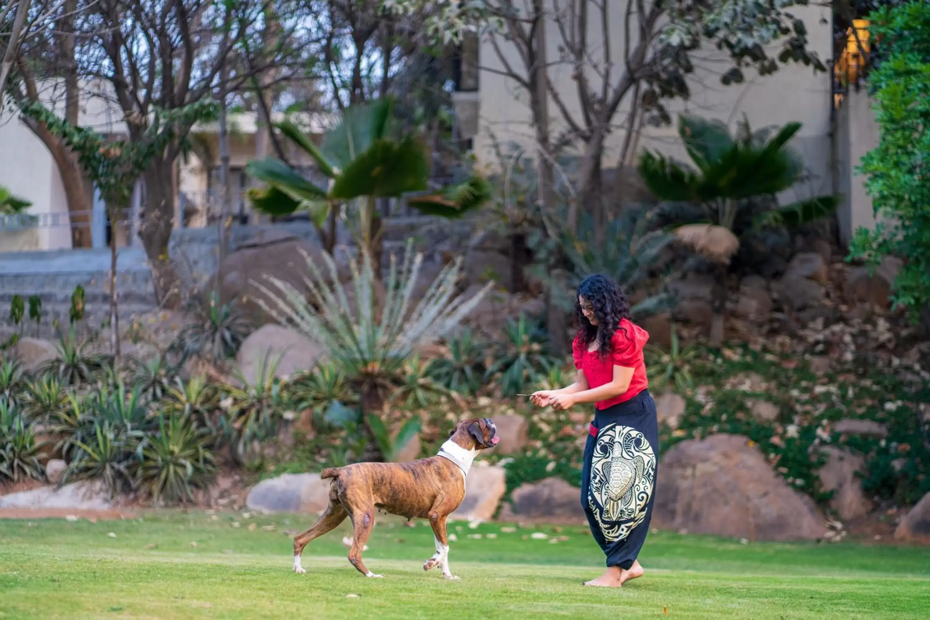 Pets in Hyatt Hyderabad Gachibowli