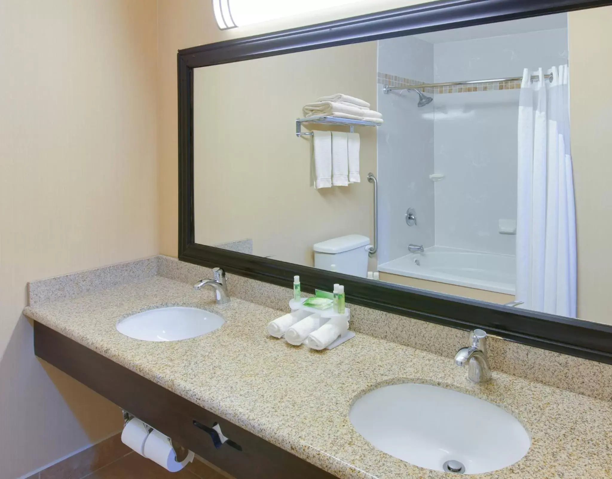 Bathroom in Holiday Inn Express Oakdale, an IHG Hotel
