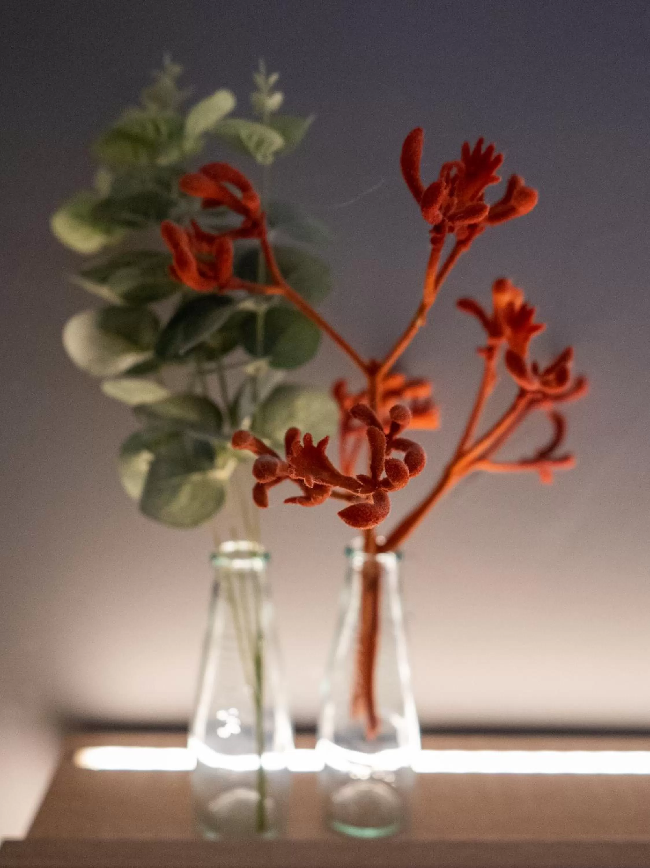 Hotel Haus Hohenstein