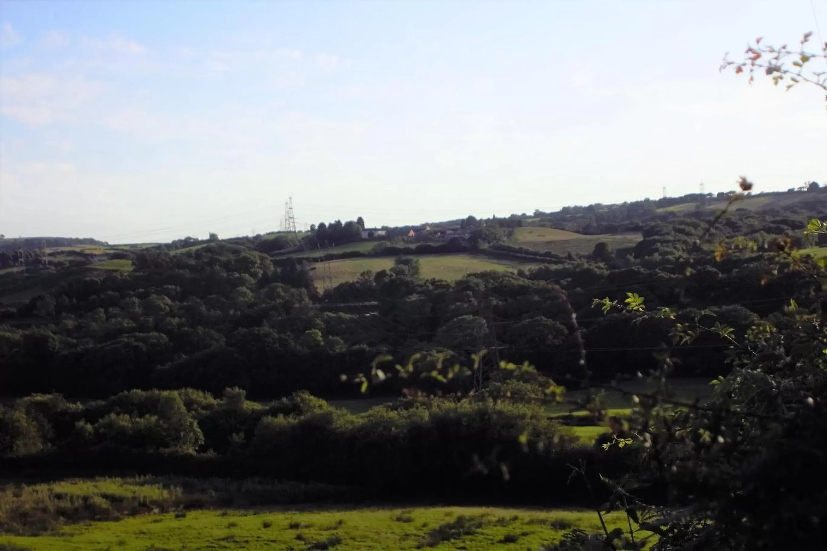 Natural landscape in Plas Newydd Farm