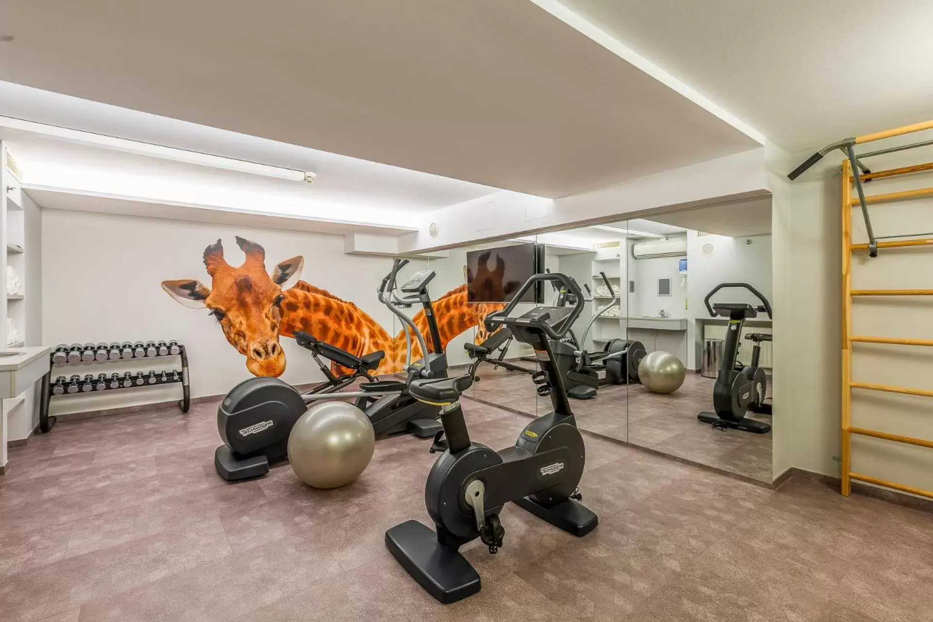 Fitness centre/facilities in Quality Hotel Vienna Fitness centre/facilities in Quality Hotel Vienna