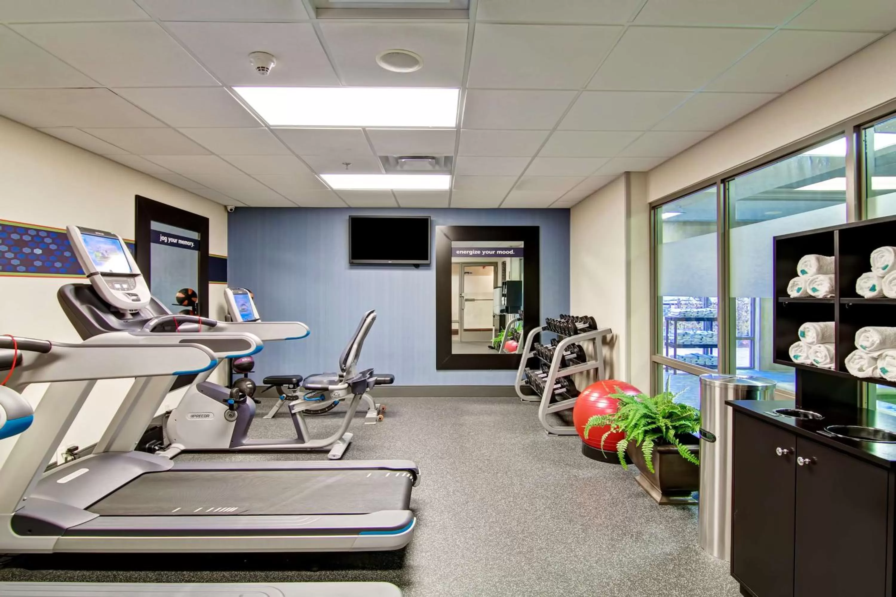 Fitness centre/facilities in Hampton Inn & Suites Guelph