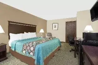 1 King Bed, Pet-Friendly Room, Non-Smoking in Super 8 by Wyndham Danville