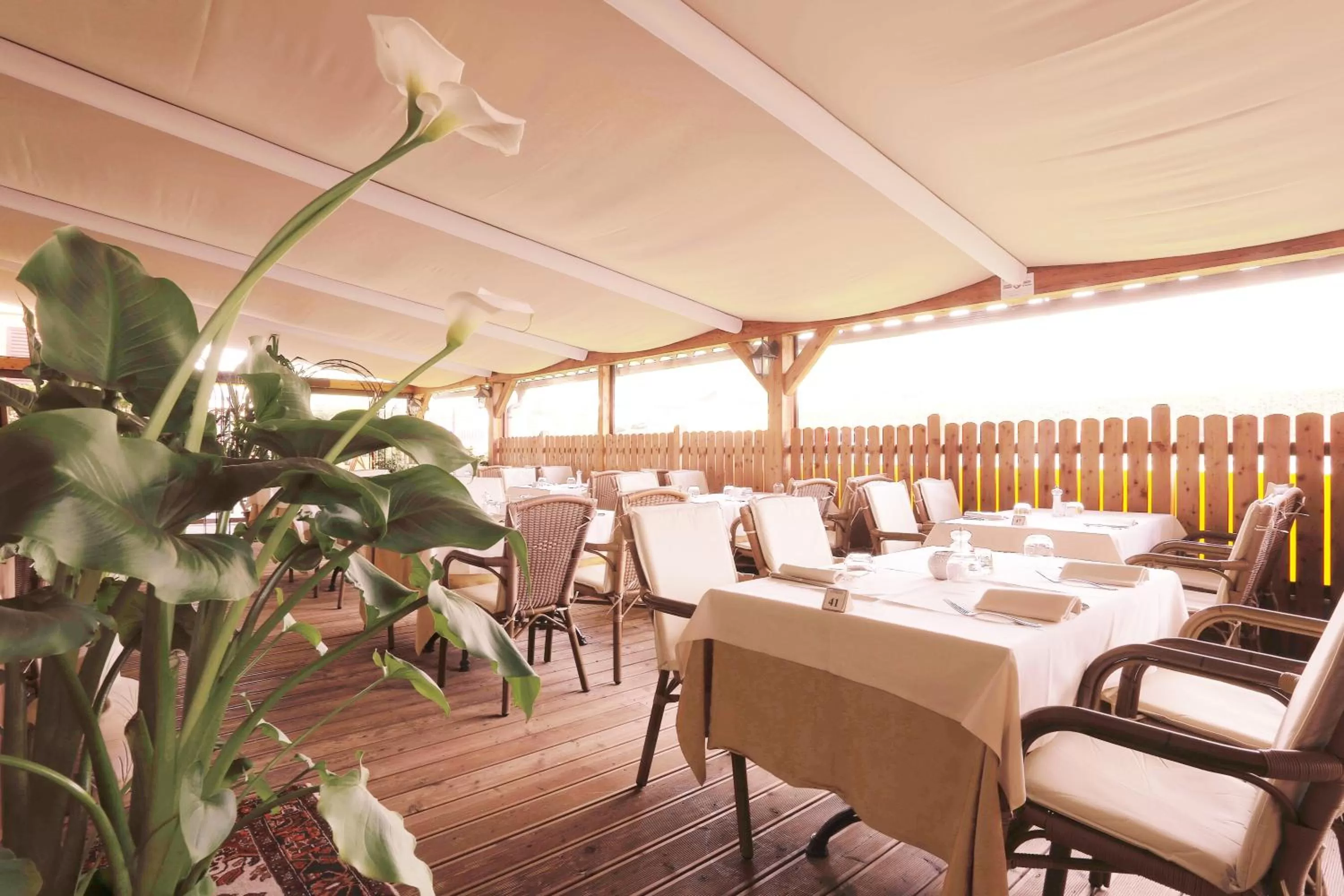 Restaurant/places to eat in Sartori's Hotel