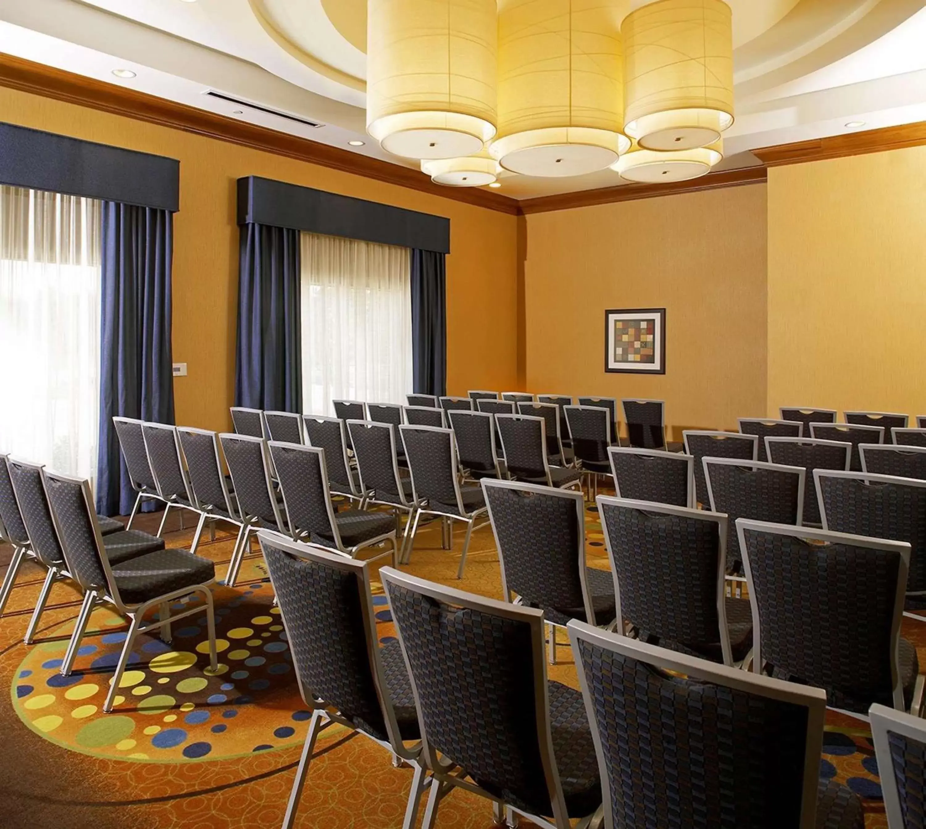 Meeting/conference room in Hilton Garden Inn Dallas Arlington