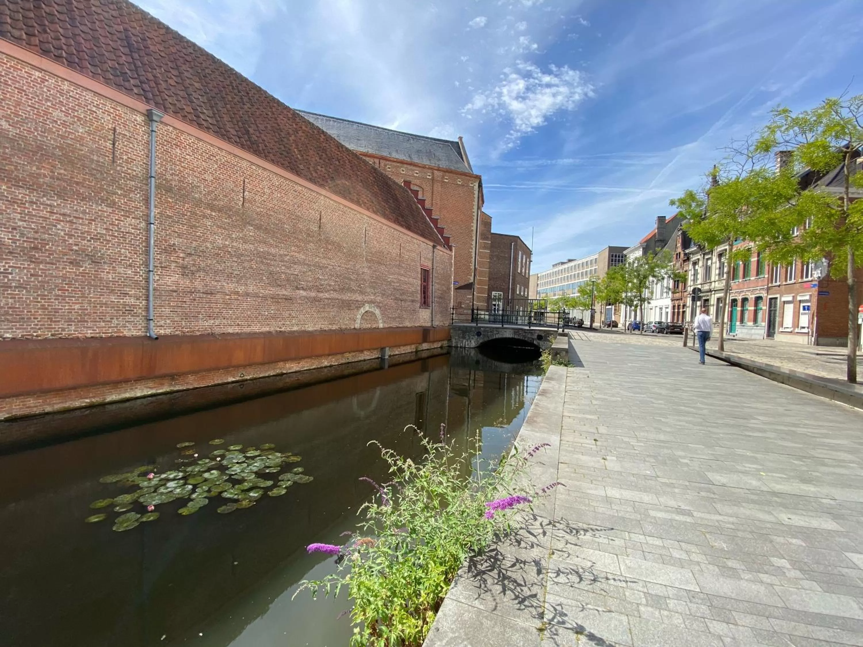 Neighbourhood in Lunatree