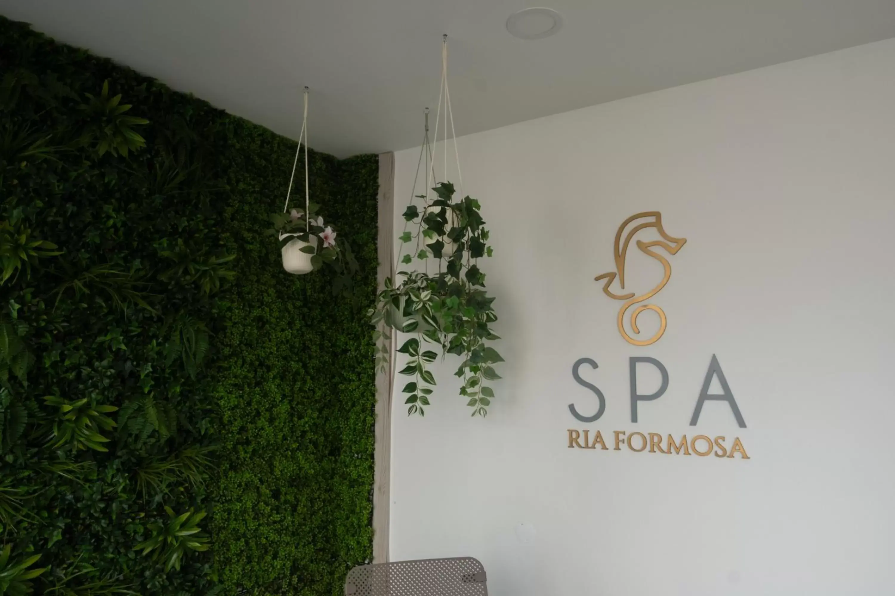 Spa and wellness centre/facilities in Ria Formosa Guest House