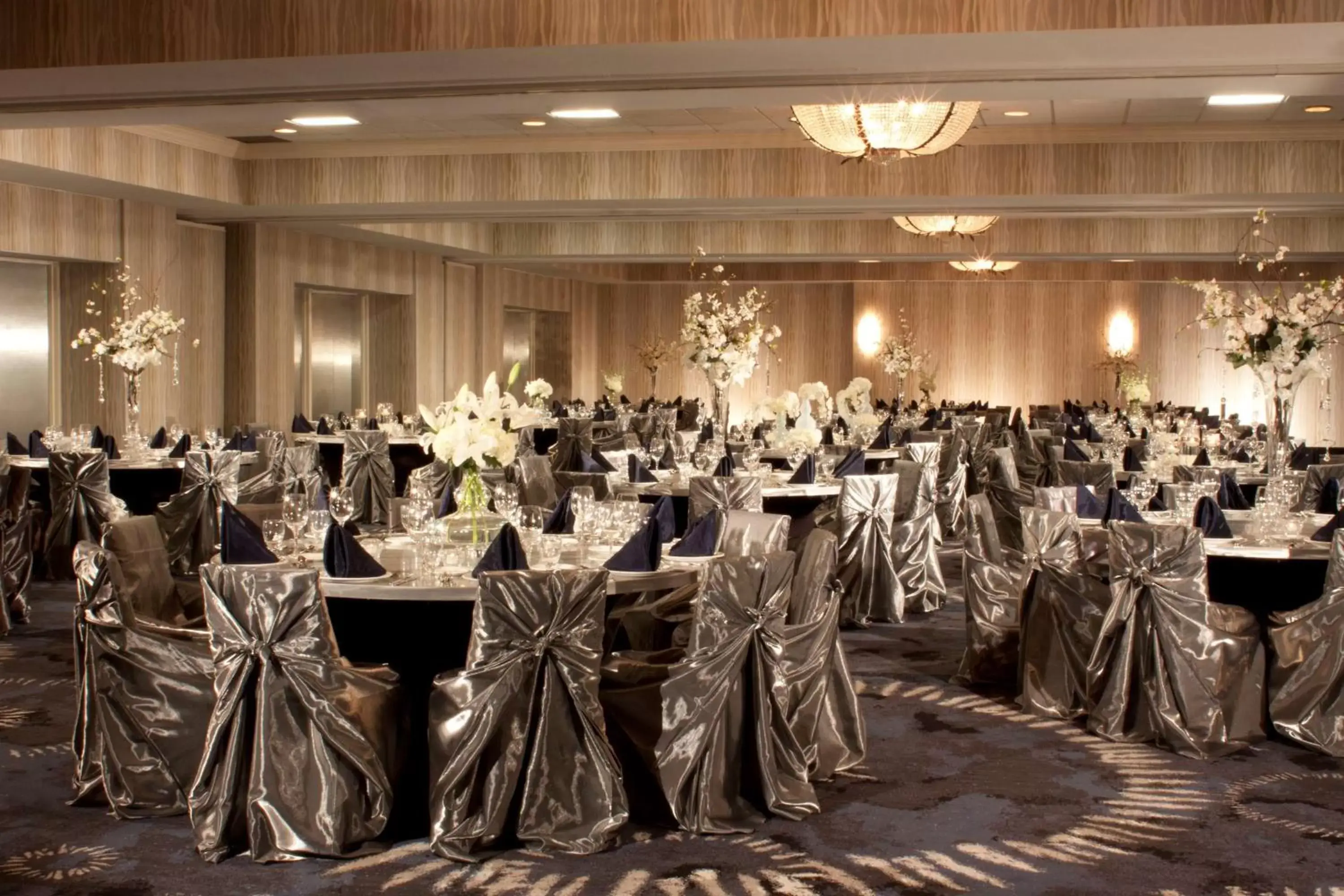 Meeting/conference room, Banquet Facilities in Hilton Houston NASA Clear Lake