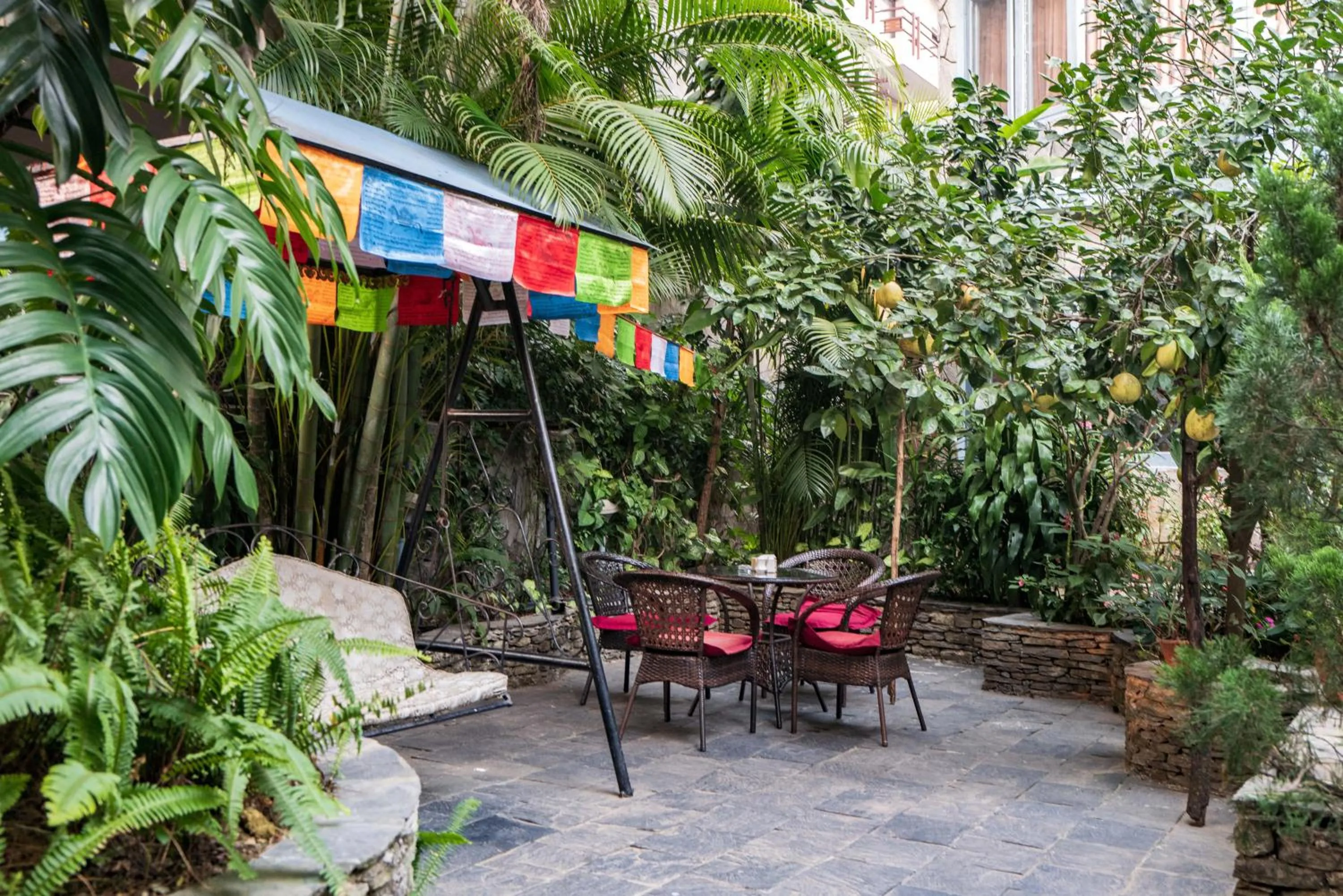 Garden in Hotel Silver Oaks Inn