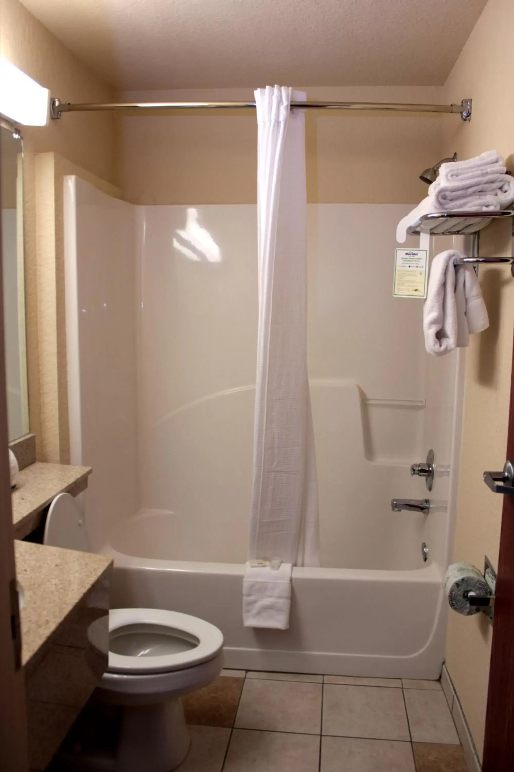 Bathroom in Microtel Inn & Suites by Wyndham Jasper