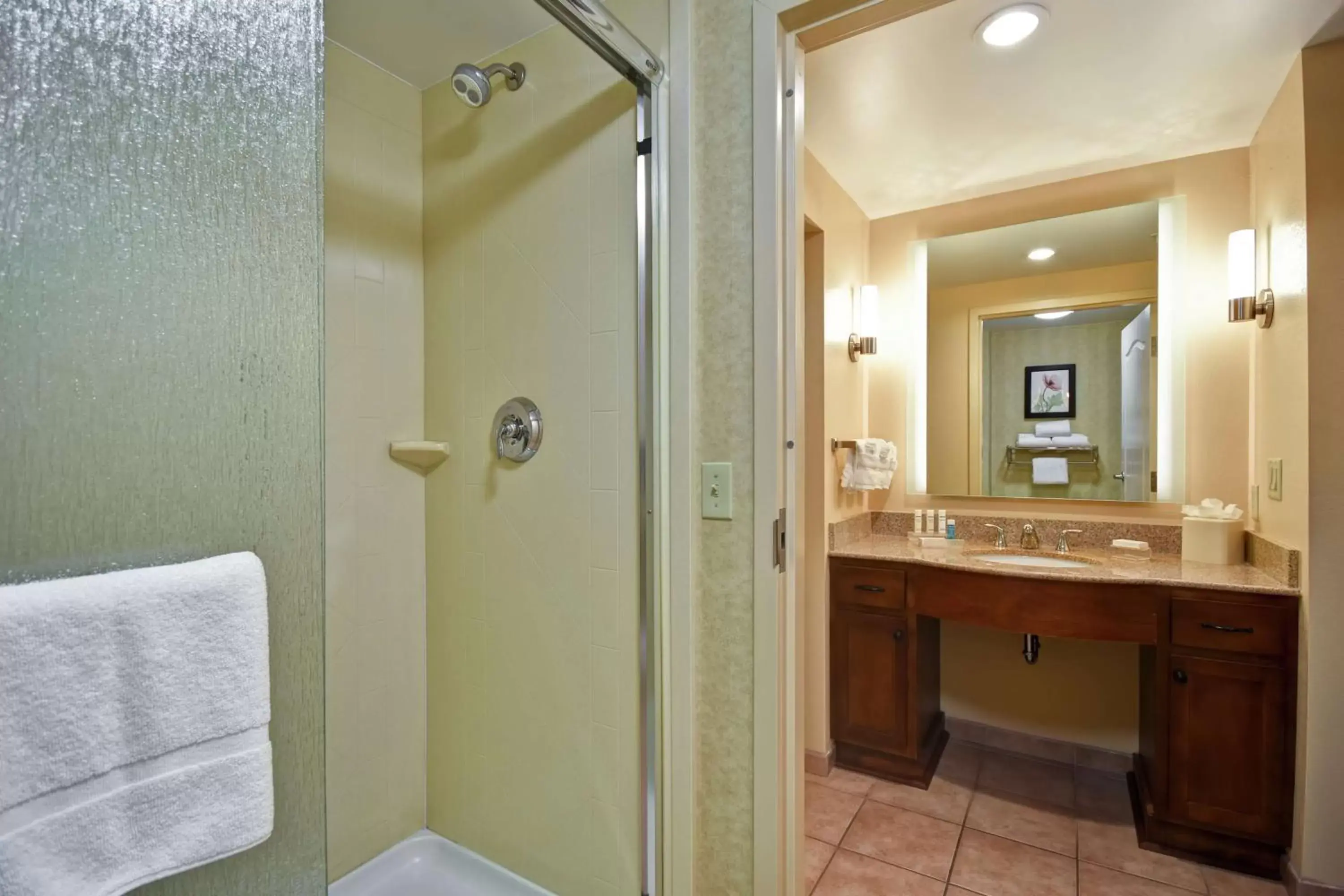 Bathroom in Homewood Suites by Hilton Lancaster