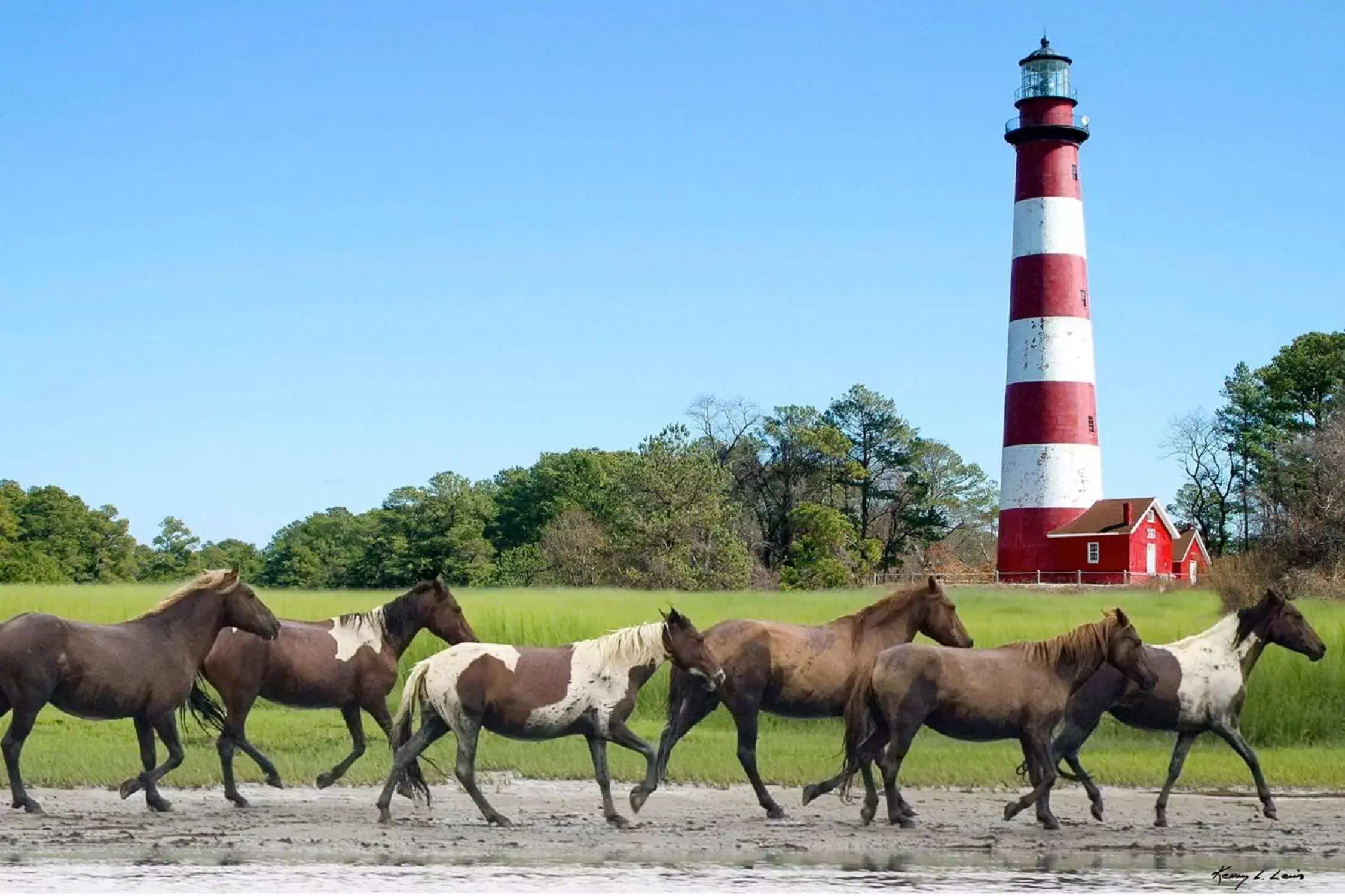 Property building, Other Animals in Hampton Inn & Suites Chincoteague-Waterfront, Va