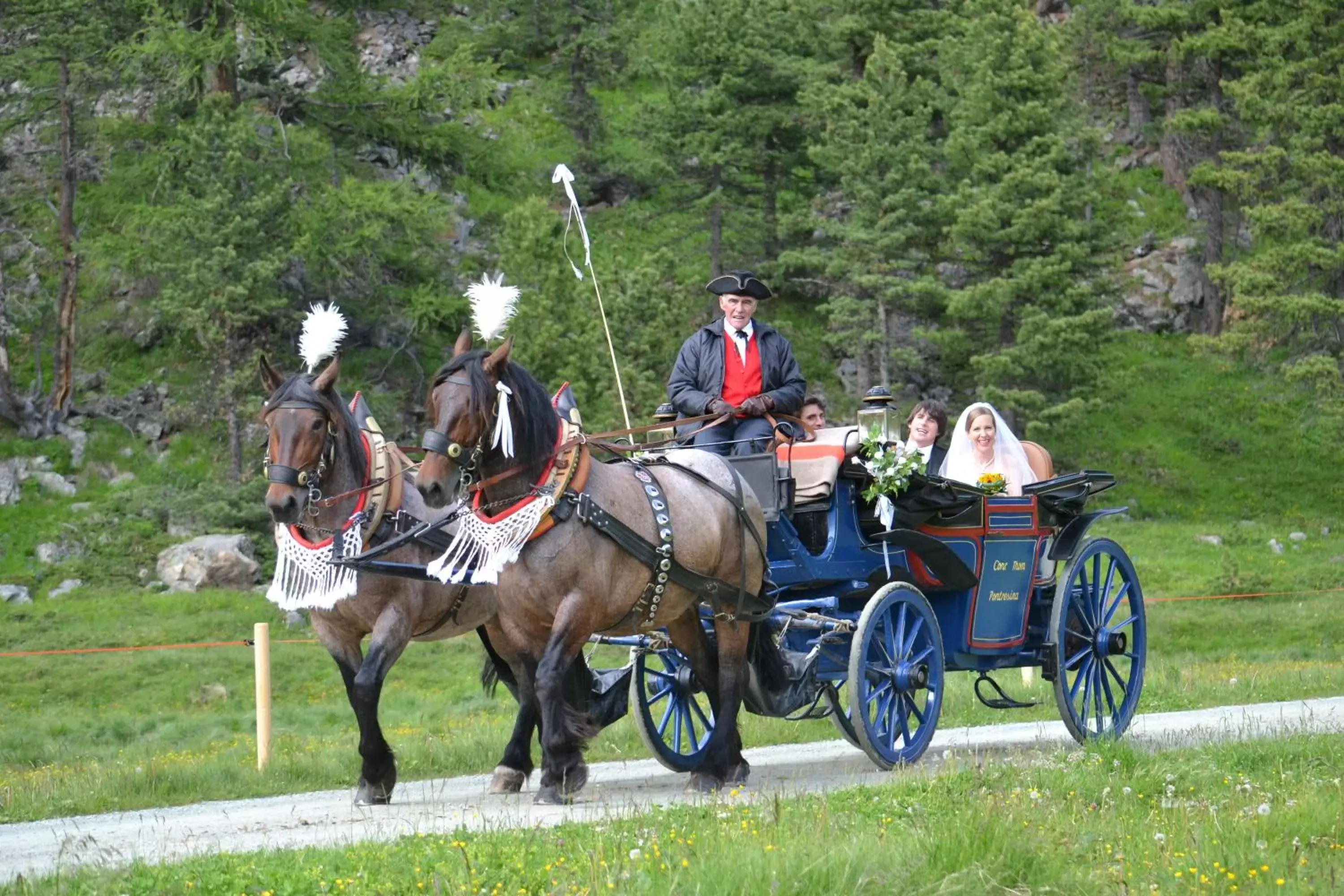 Animals, Horseback Riding in Hotel Roseg-Gletscher