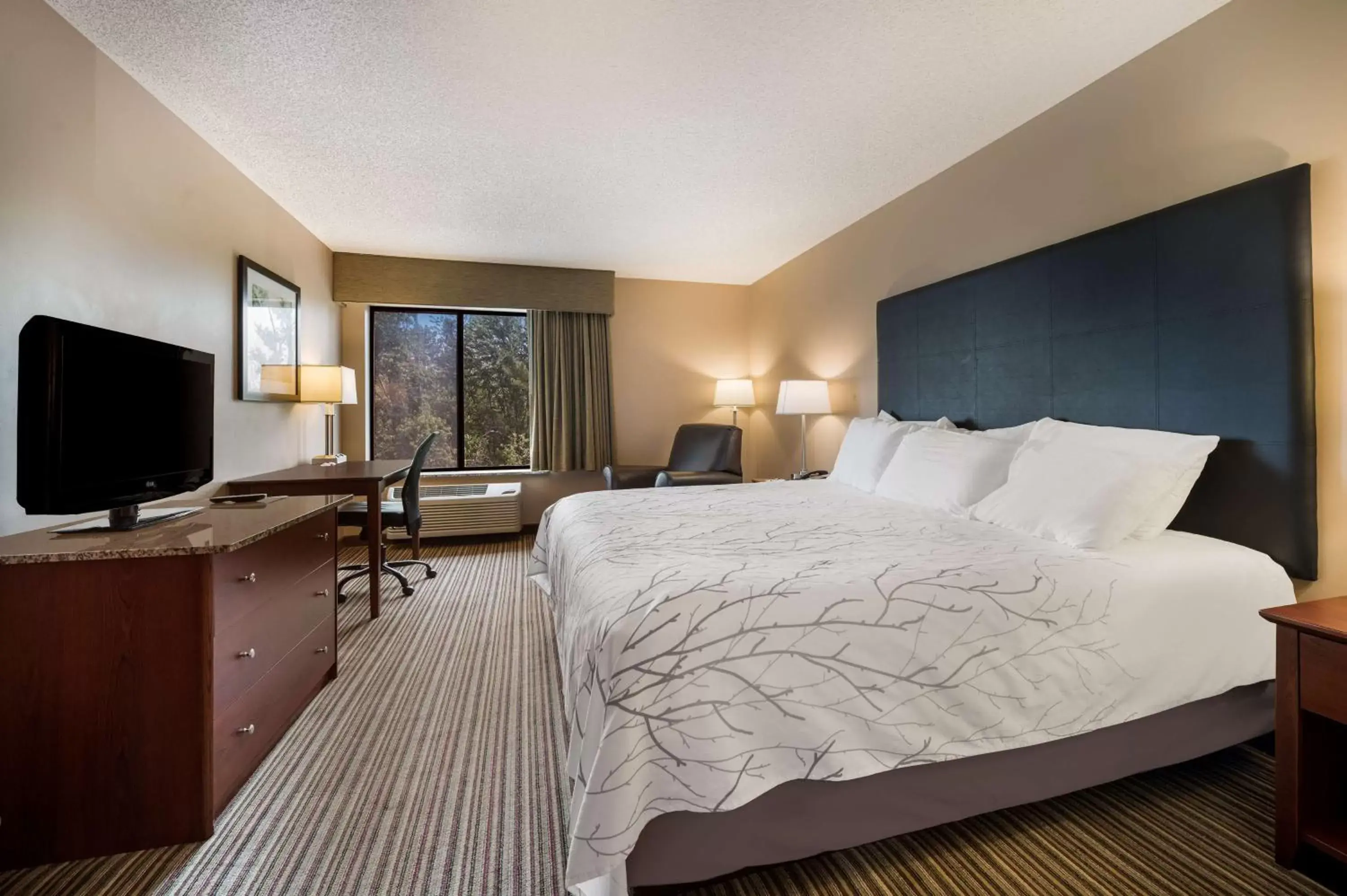 Bedroom, Bed in Best Western Park Oasis Inn Bedroom, Bed in Best Western Park Oasis Inn