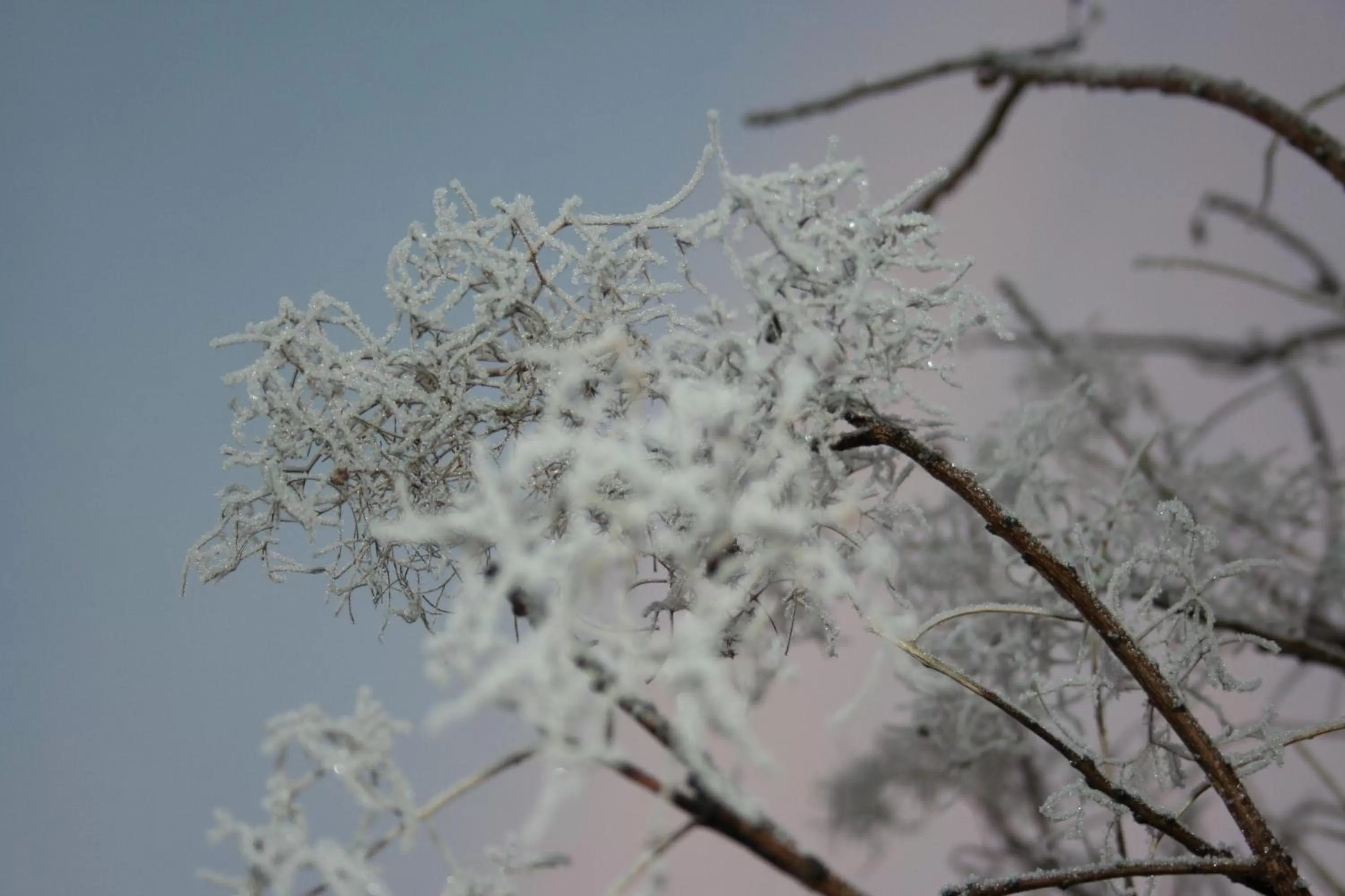 Winter in BnB Mönthal im Jurapark