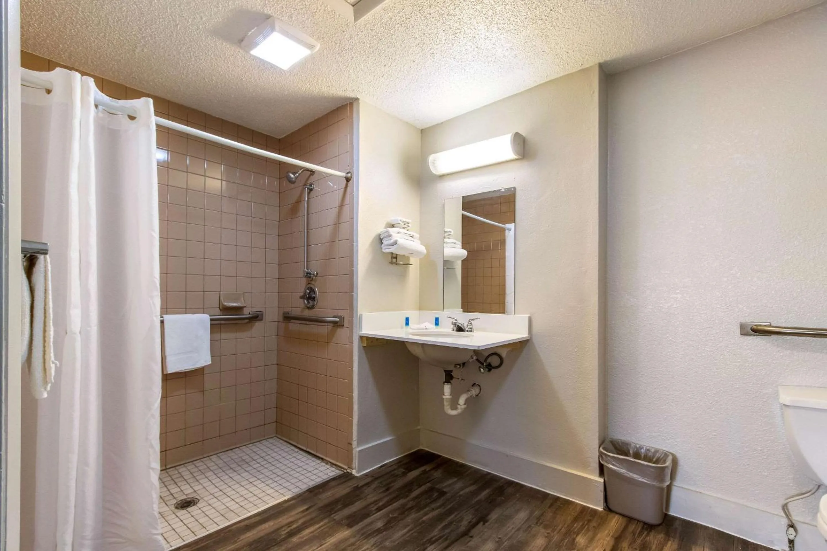 Bathroom in Rodeway Inn Near Hall of Fame