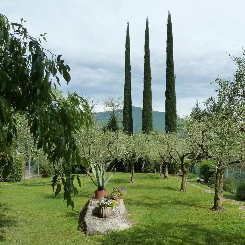 Garden in La Berlera - Riva del Garda