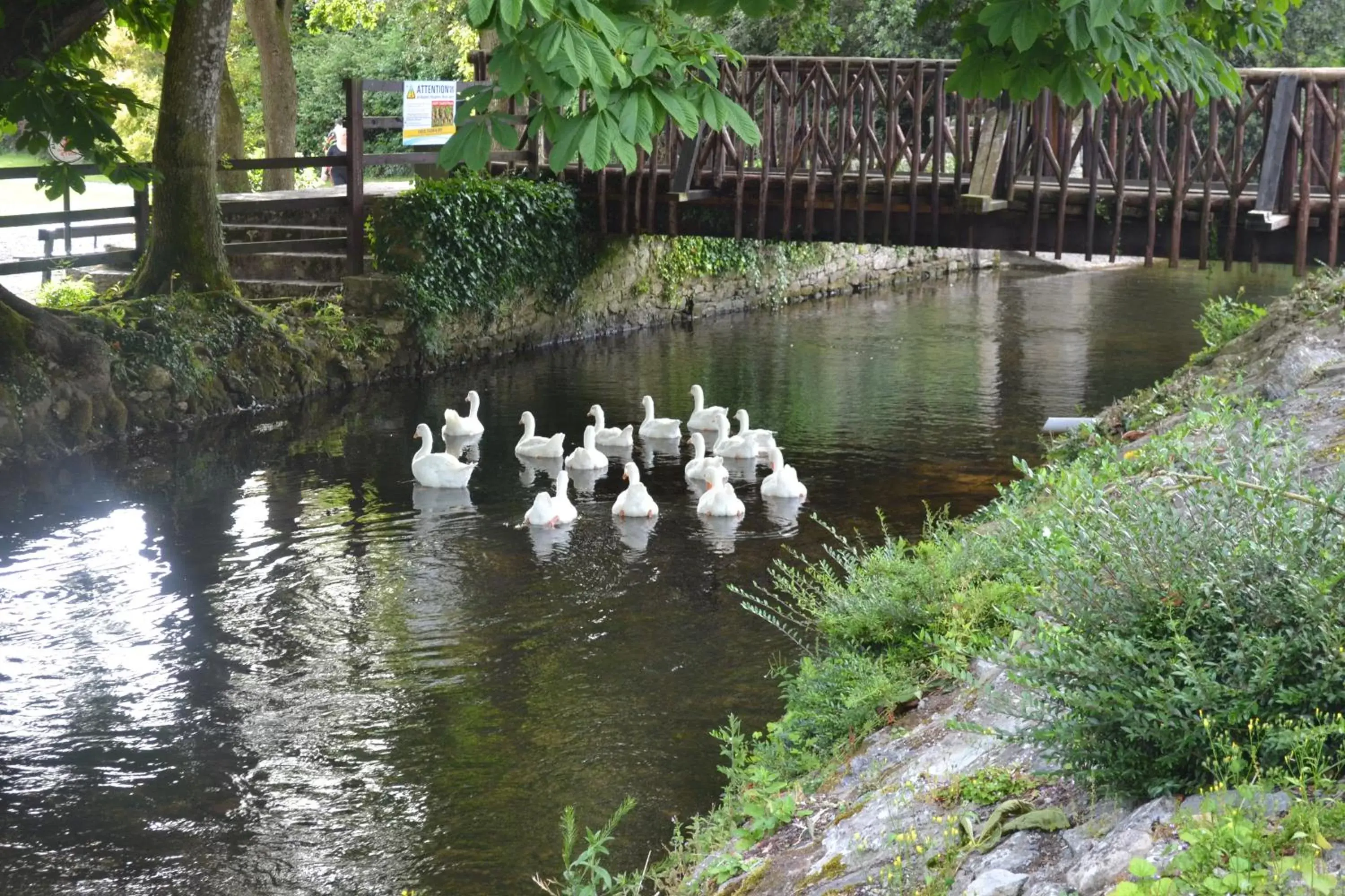 Nearby landmark, Other Animals in Annaswood B&B