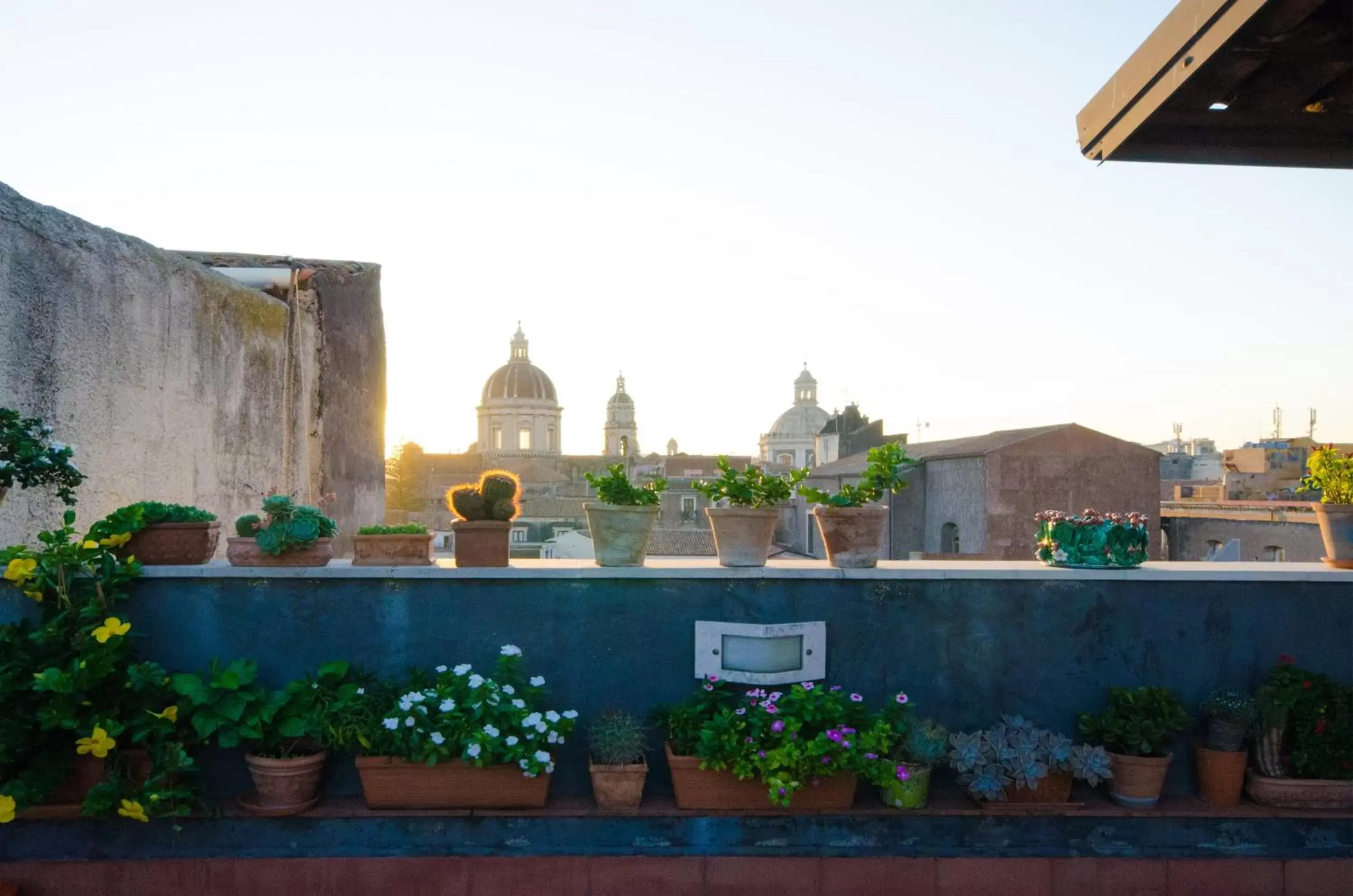 Balcony/Terrace in A casa di Frasquita