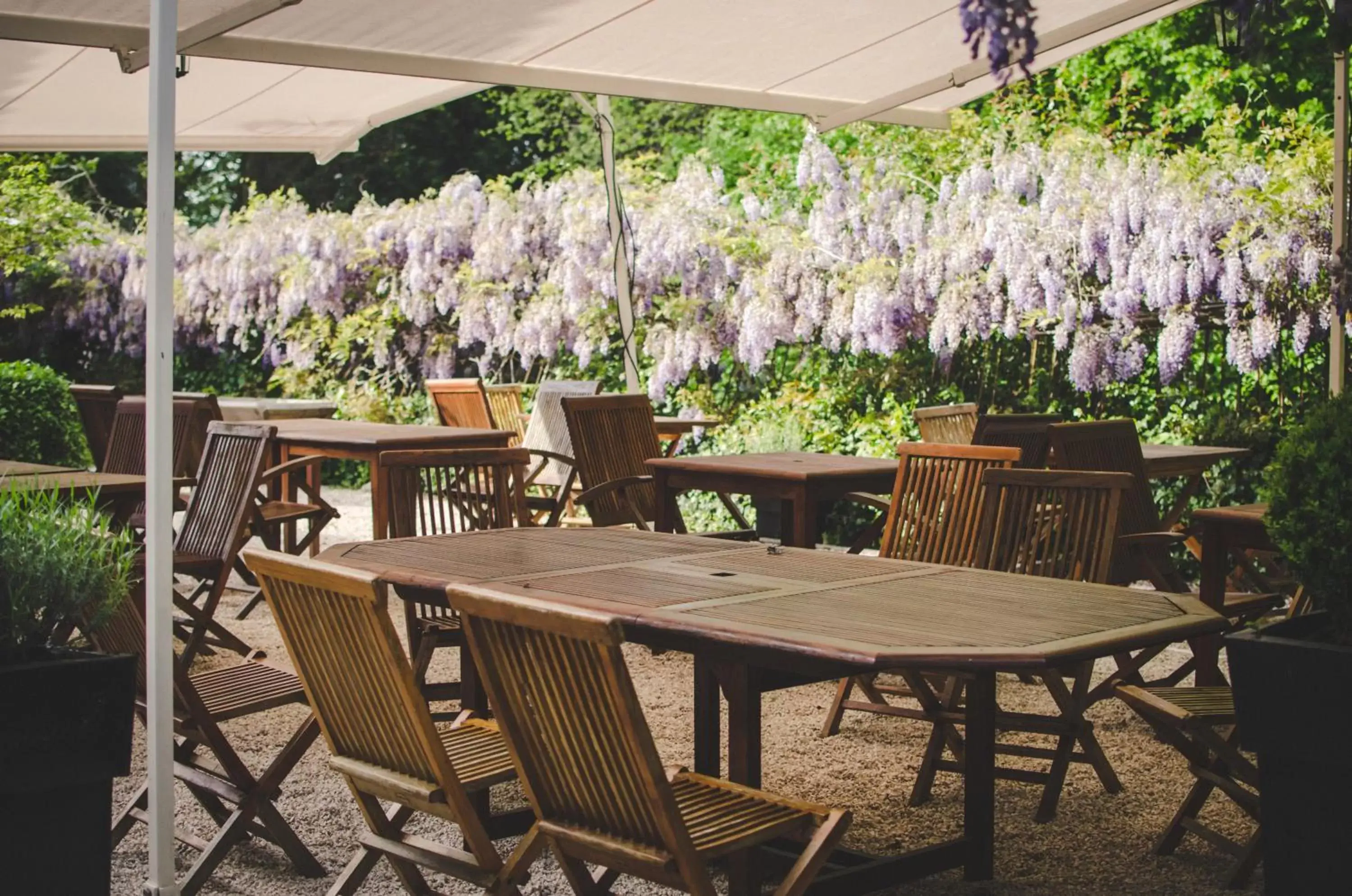 Patio, Restaurant/Places to Eat in Hotel Logis - Chateau de Beauregard