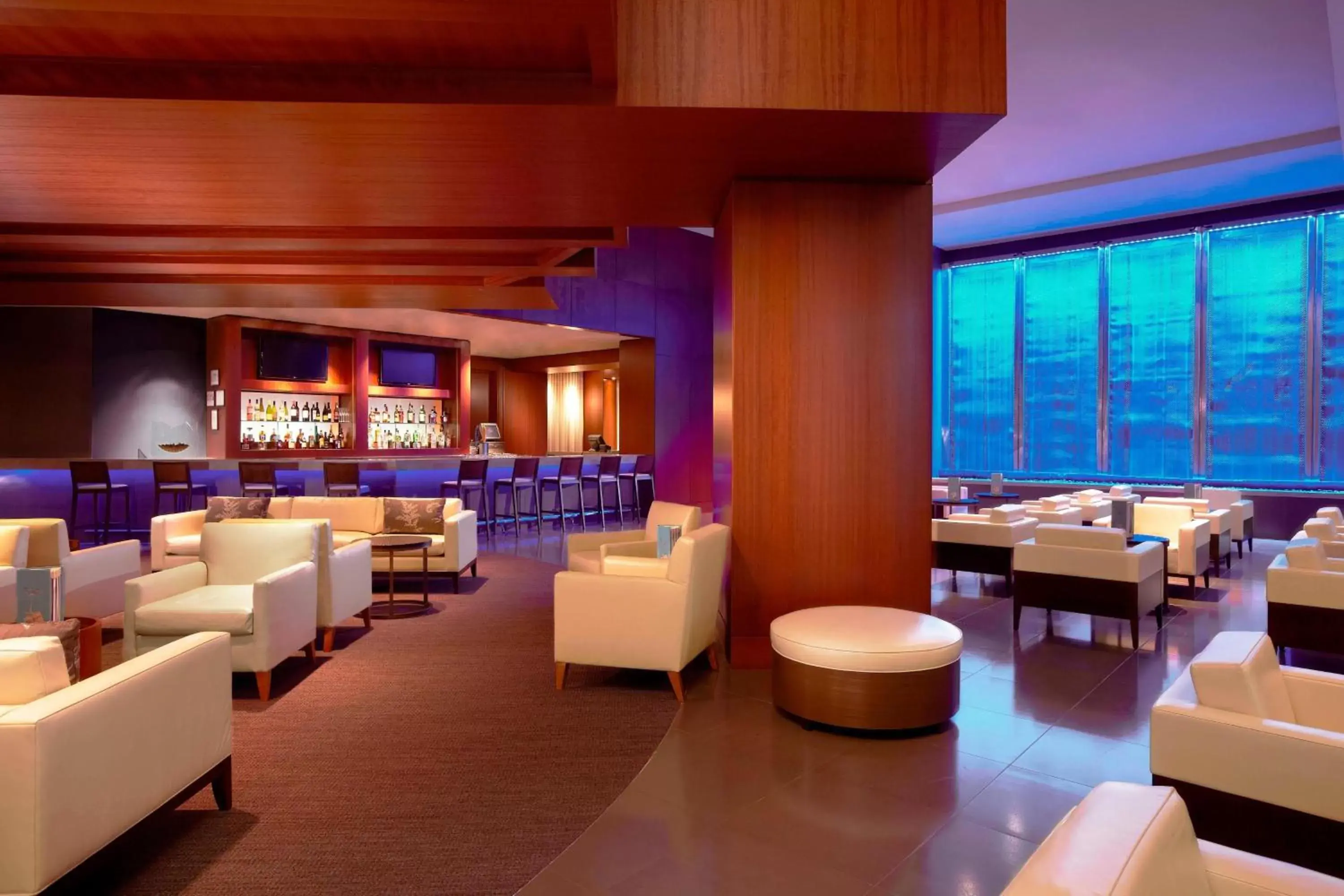 Lounge or bar, Lounge/Bar in The Westin Houston, Memorial City