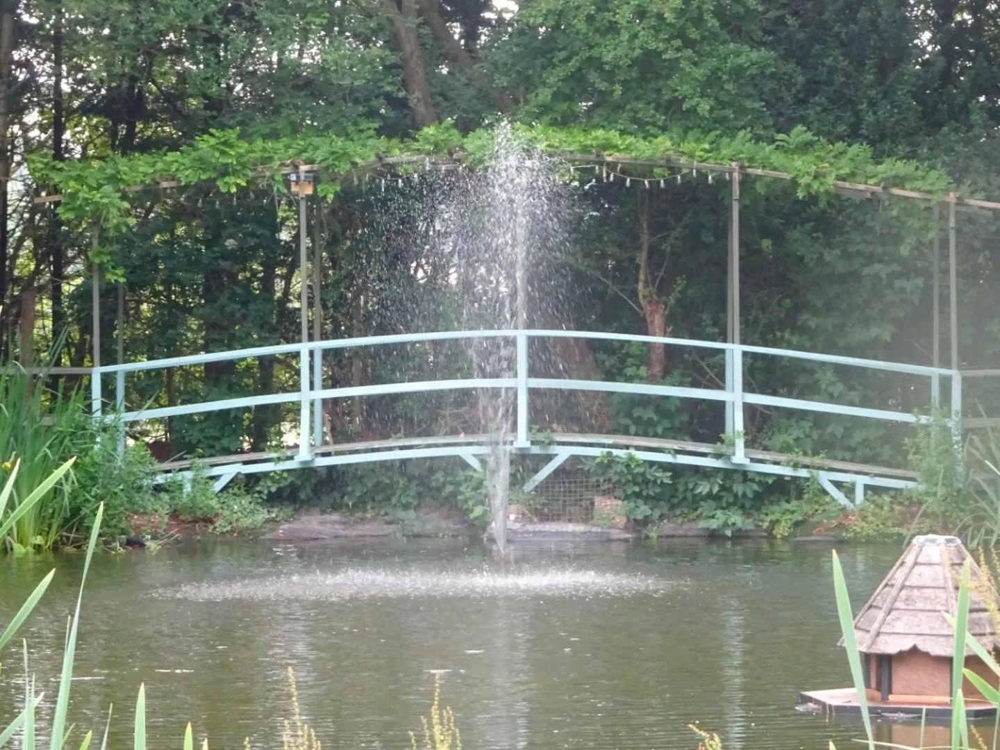 Lake view in Passford House Hotel