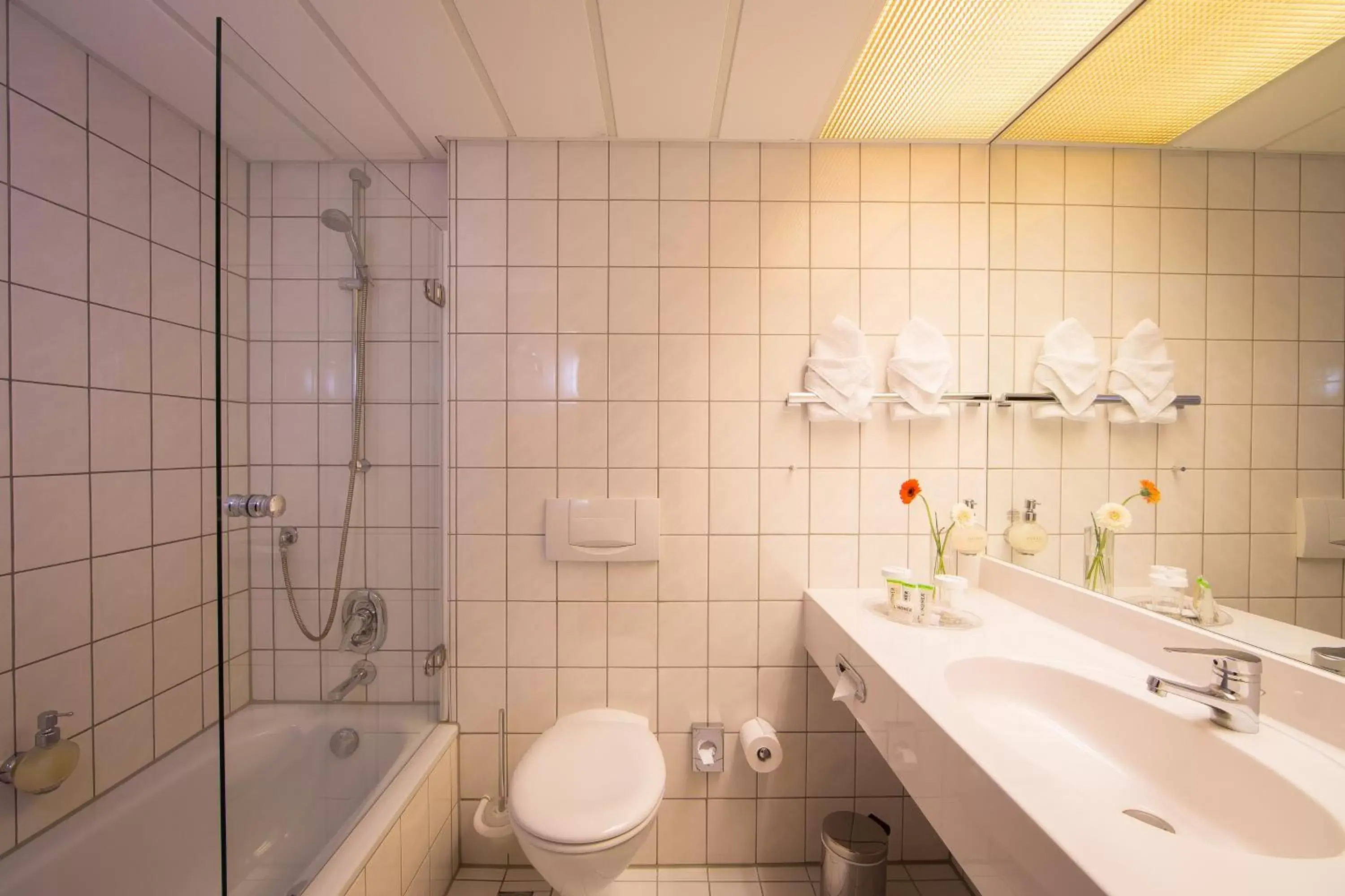 Bathroom in Lindner Hotel Frankfurt Hochst, part of JdV by Hyatt