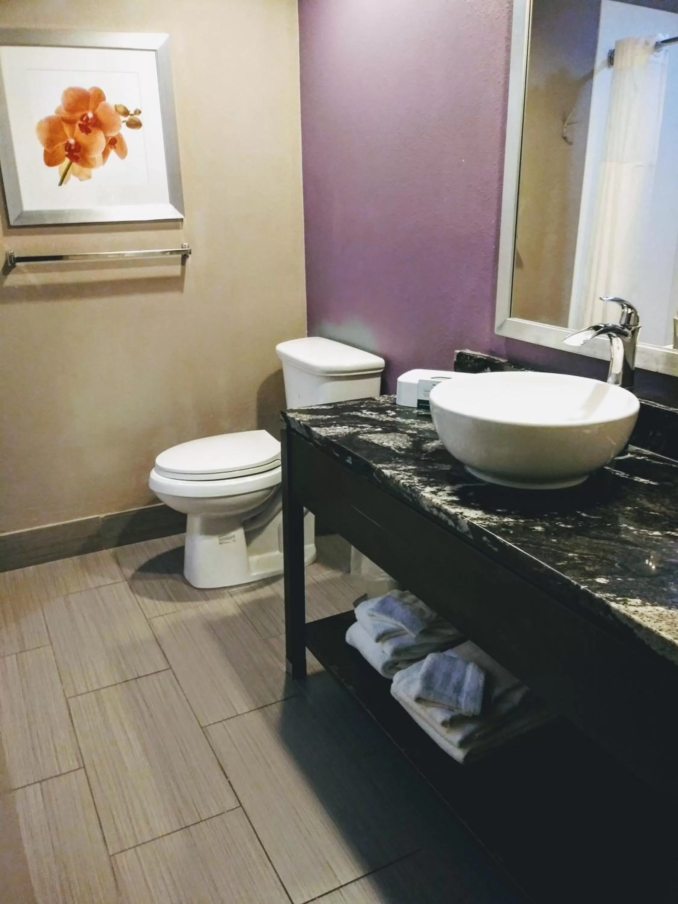 Bathroom in Quality Suites Fort Myers I-75