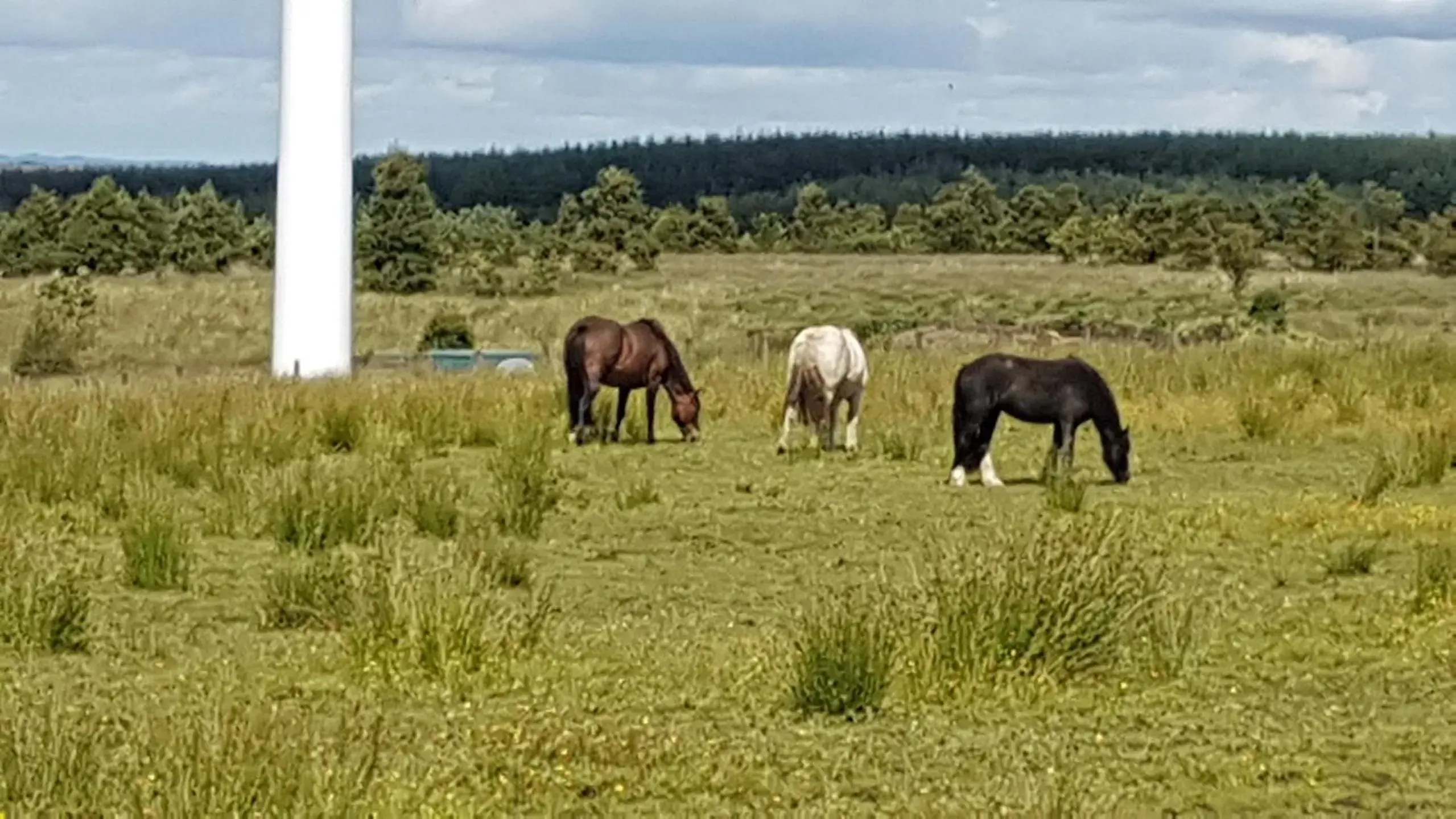 Property building in Blairmains Guest House Property building in Blairmains Guest House