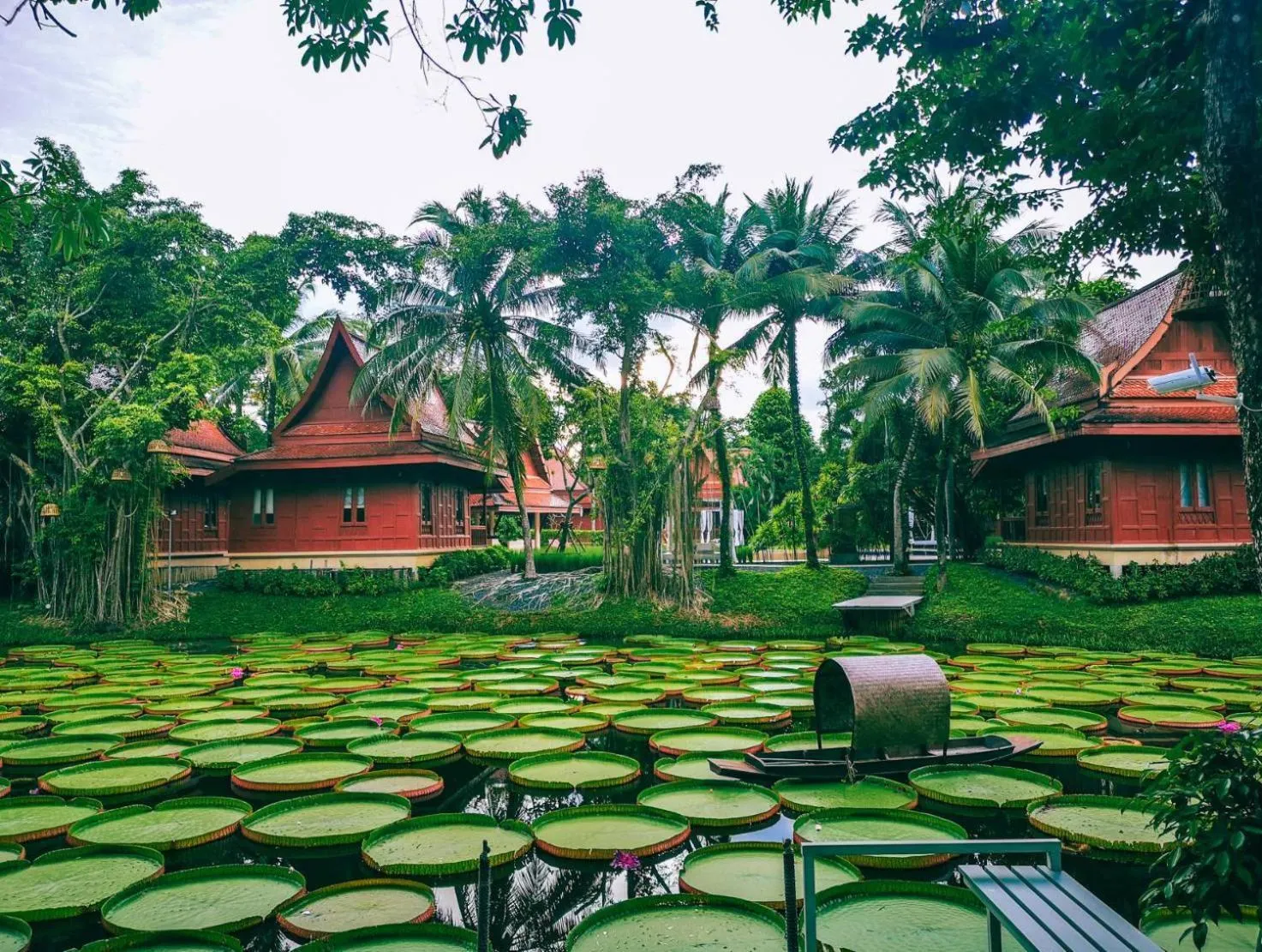 Garden in Ma Doo Bua Stay - SHA Extra Plus