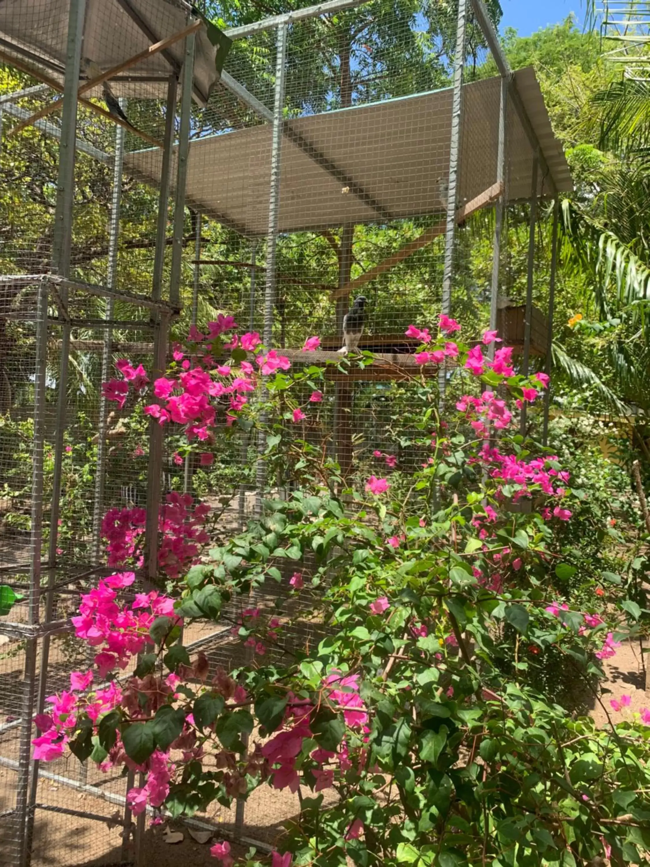 Garden in Hostalito El Greco