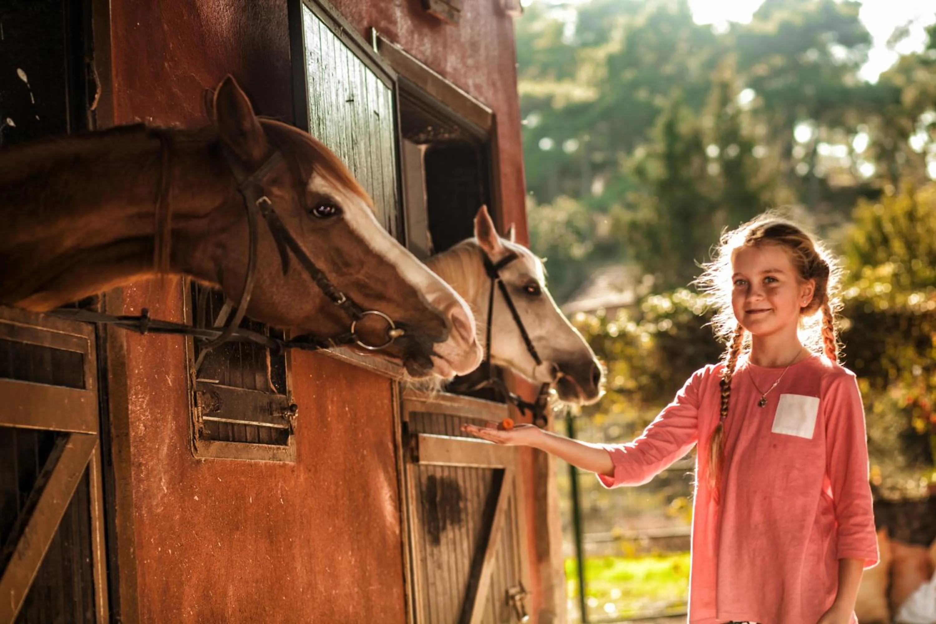 People in Hotel Berke Ranch&Nature