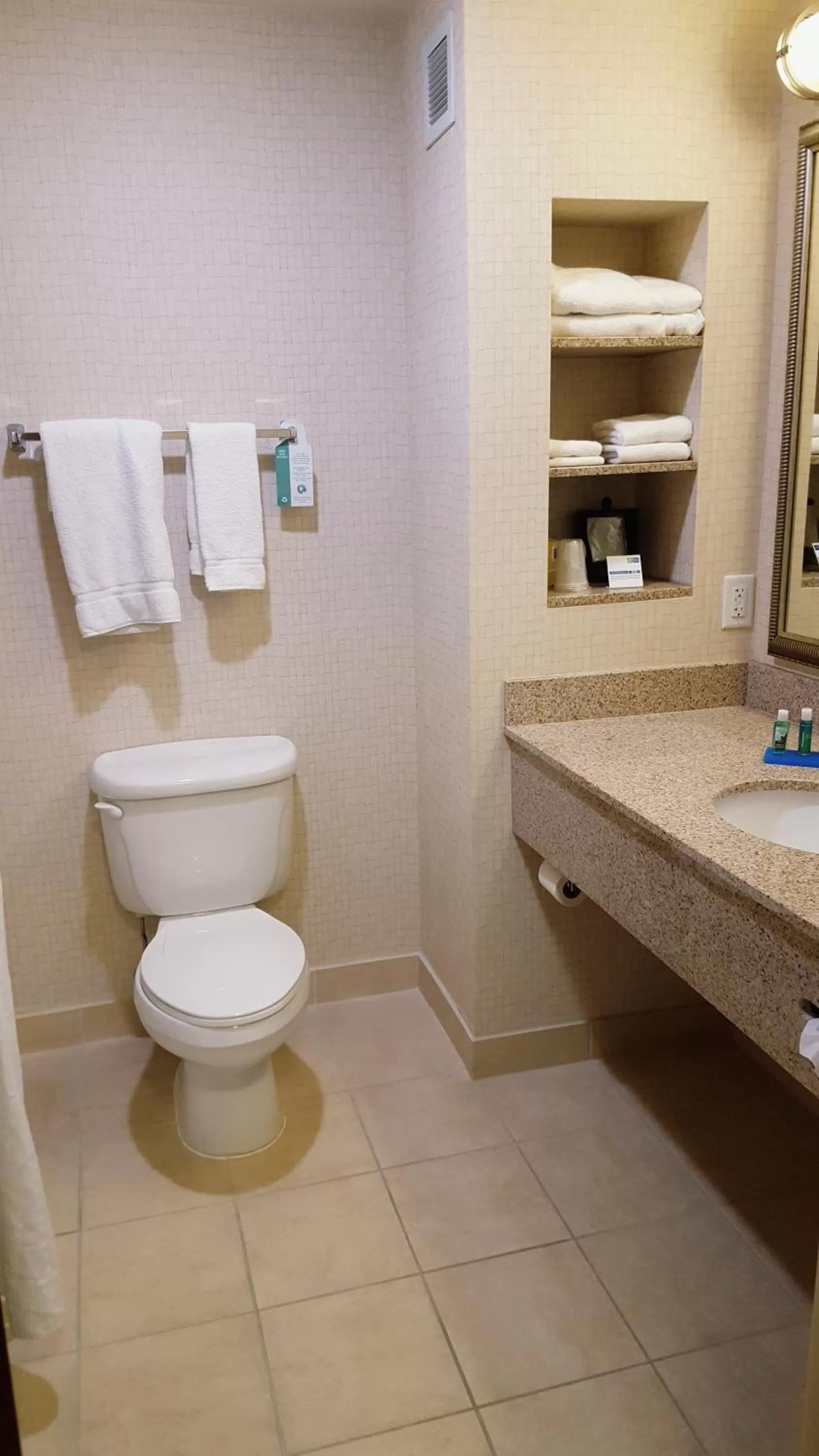 Toilet in Holiday Inn Express Hotel Twin Falls by IHG