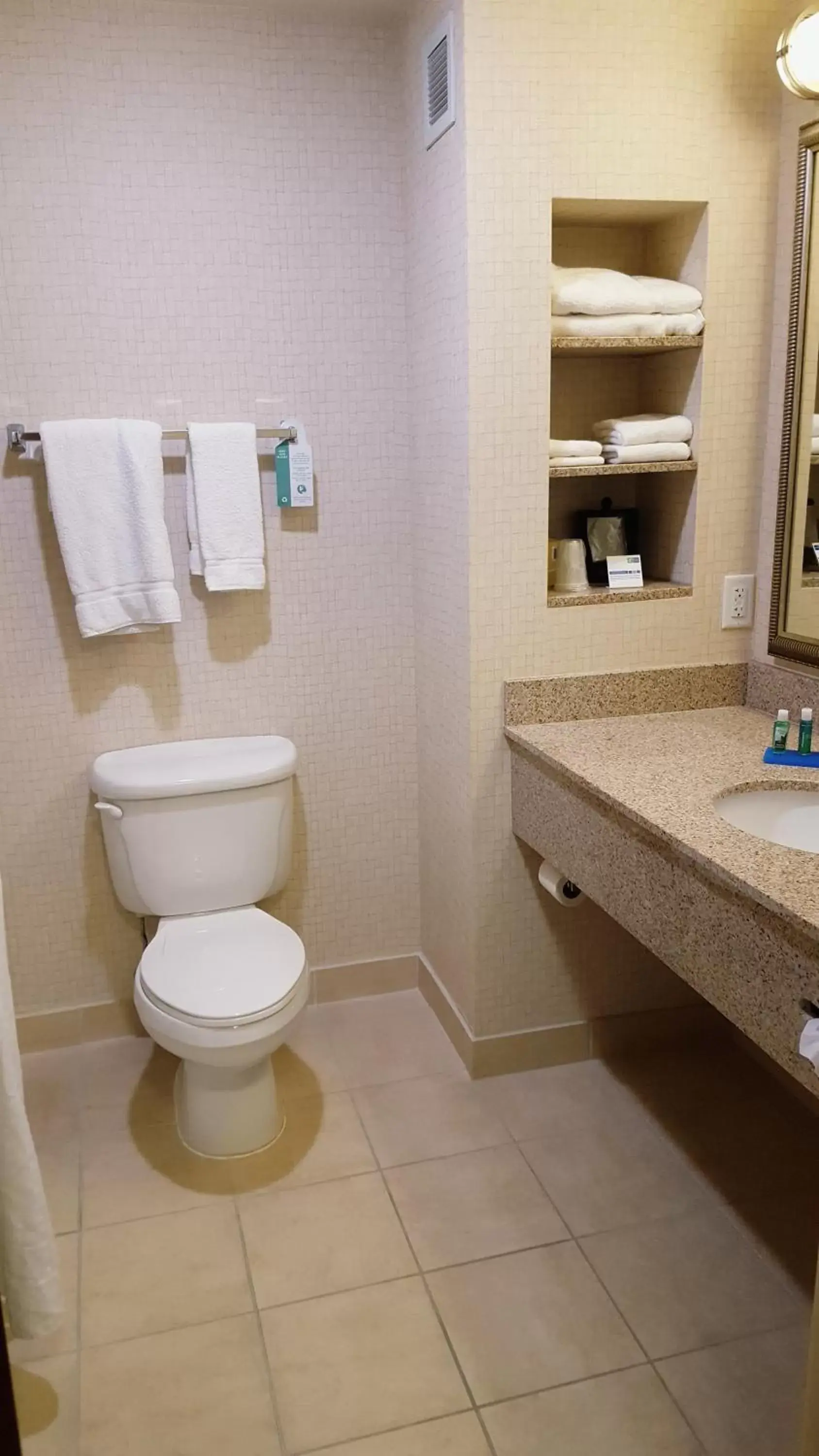 Toilet, Bathroom in Holiday Inn Express Hotel Twin Falls, an IHG Hotel