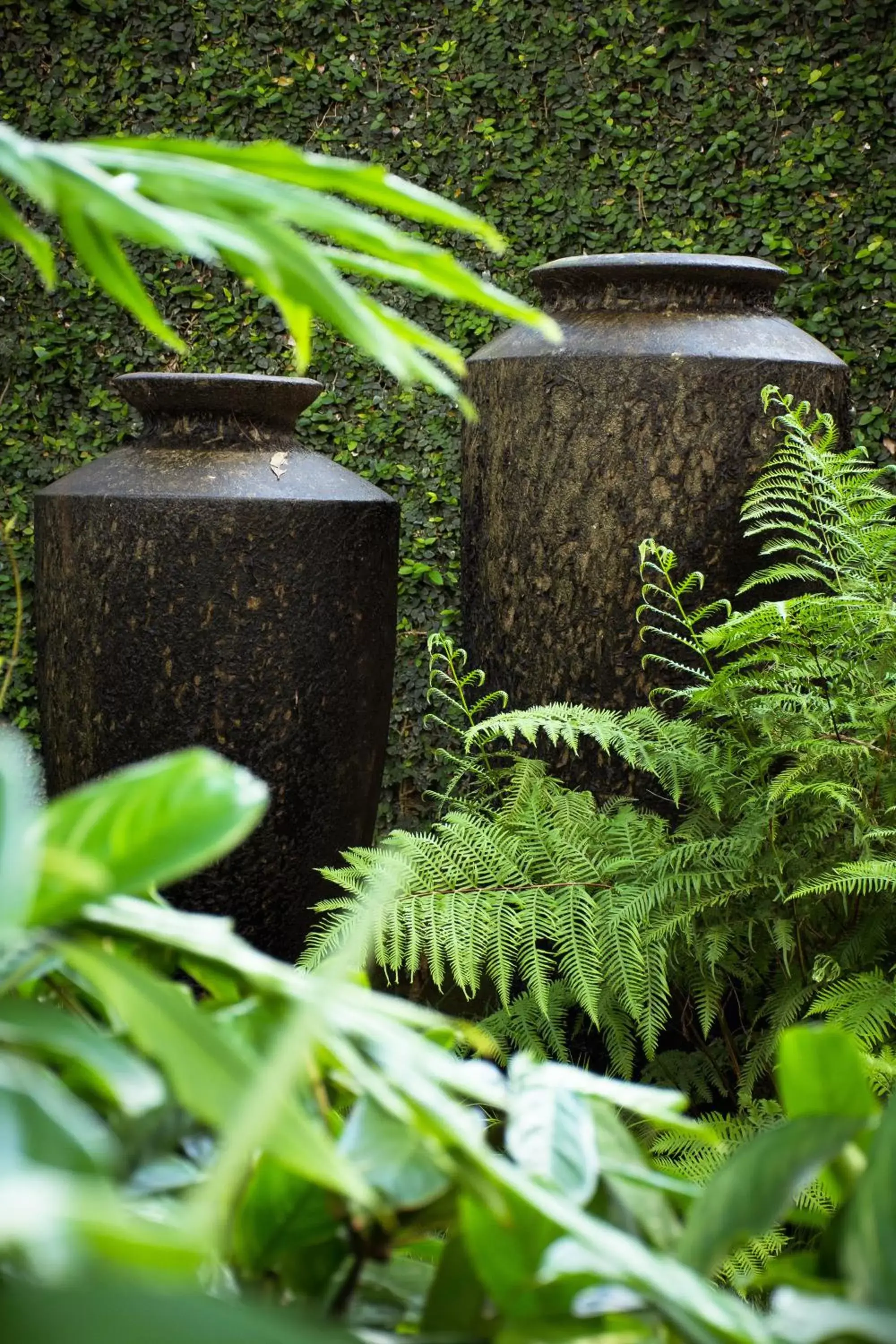 Garden in Zawadi House Lodge