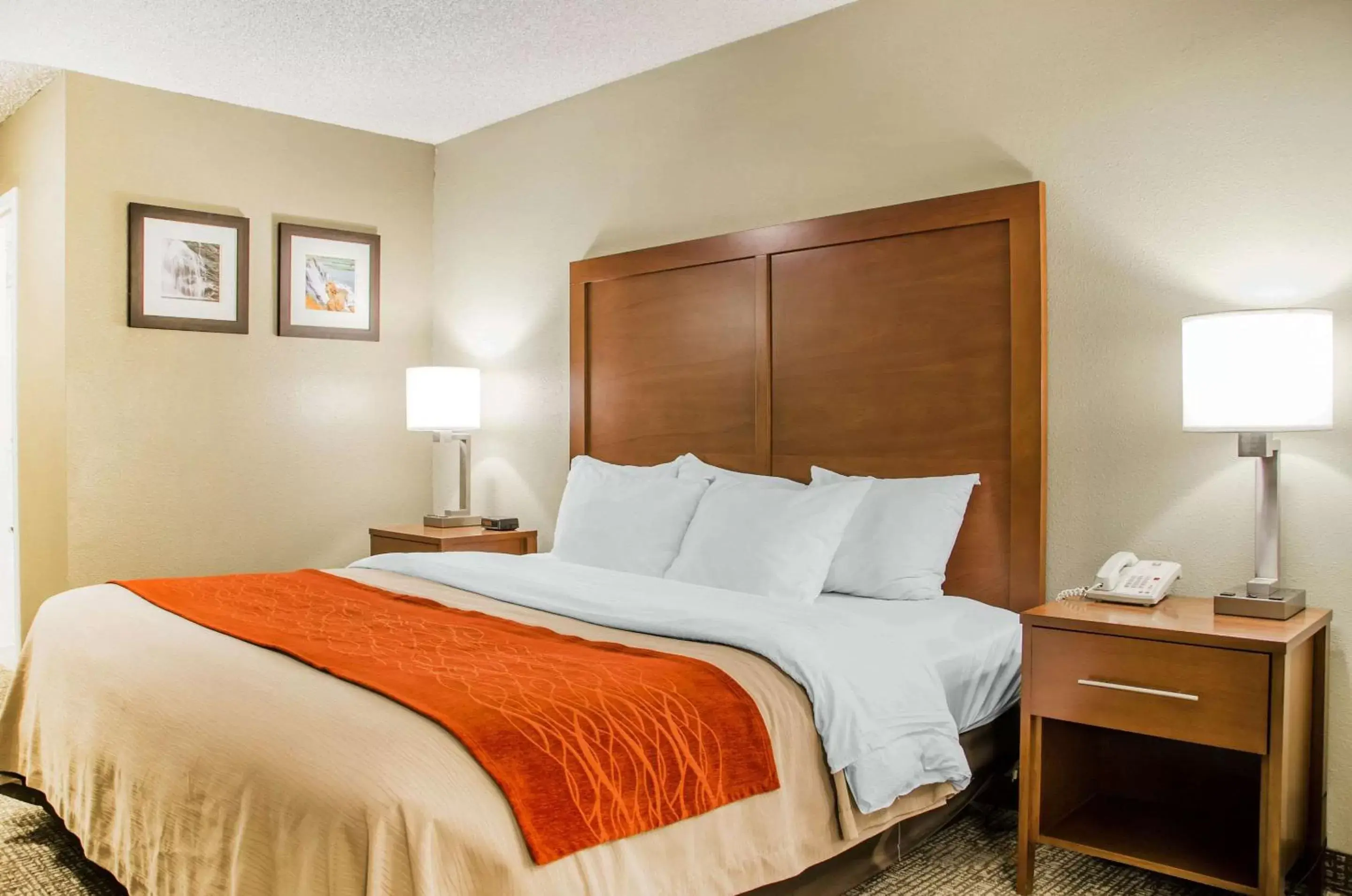 Photo of the whole room, Bed in Comfort Inn Idaho Falls