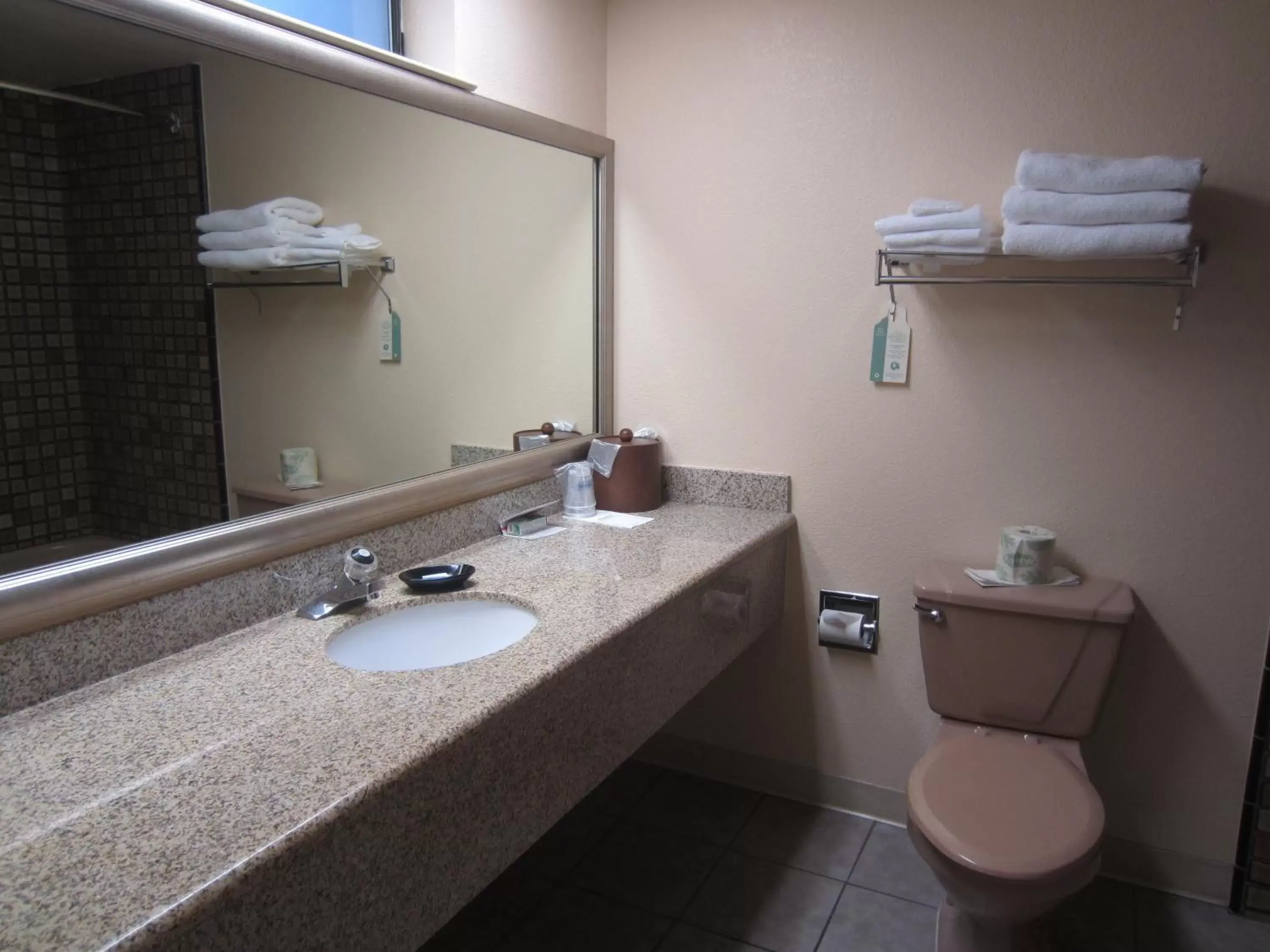 Toilet, Bathroom in Best Western Gold Country Inn