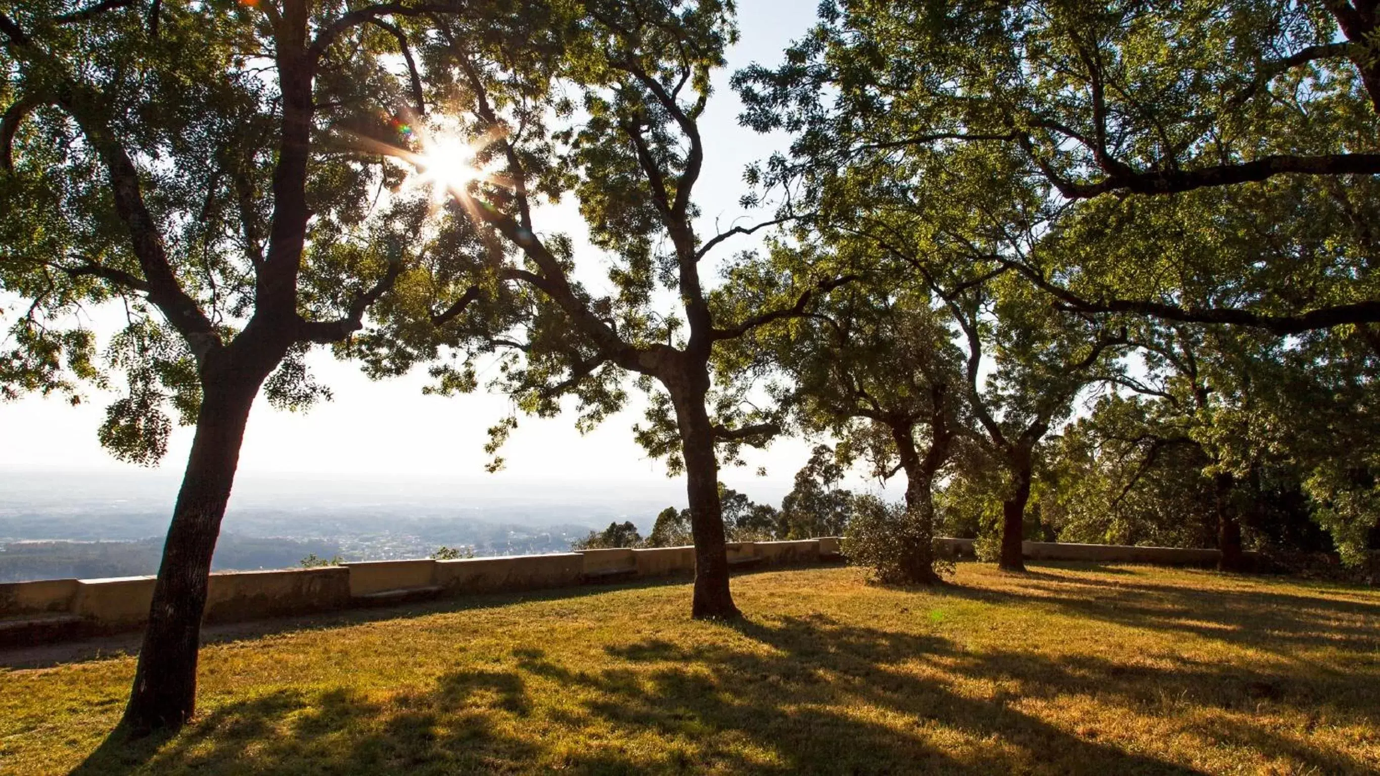 Garden view in Palace Hotel do Bussaco