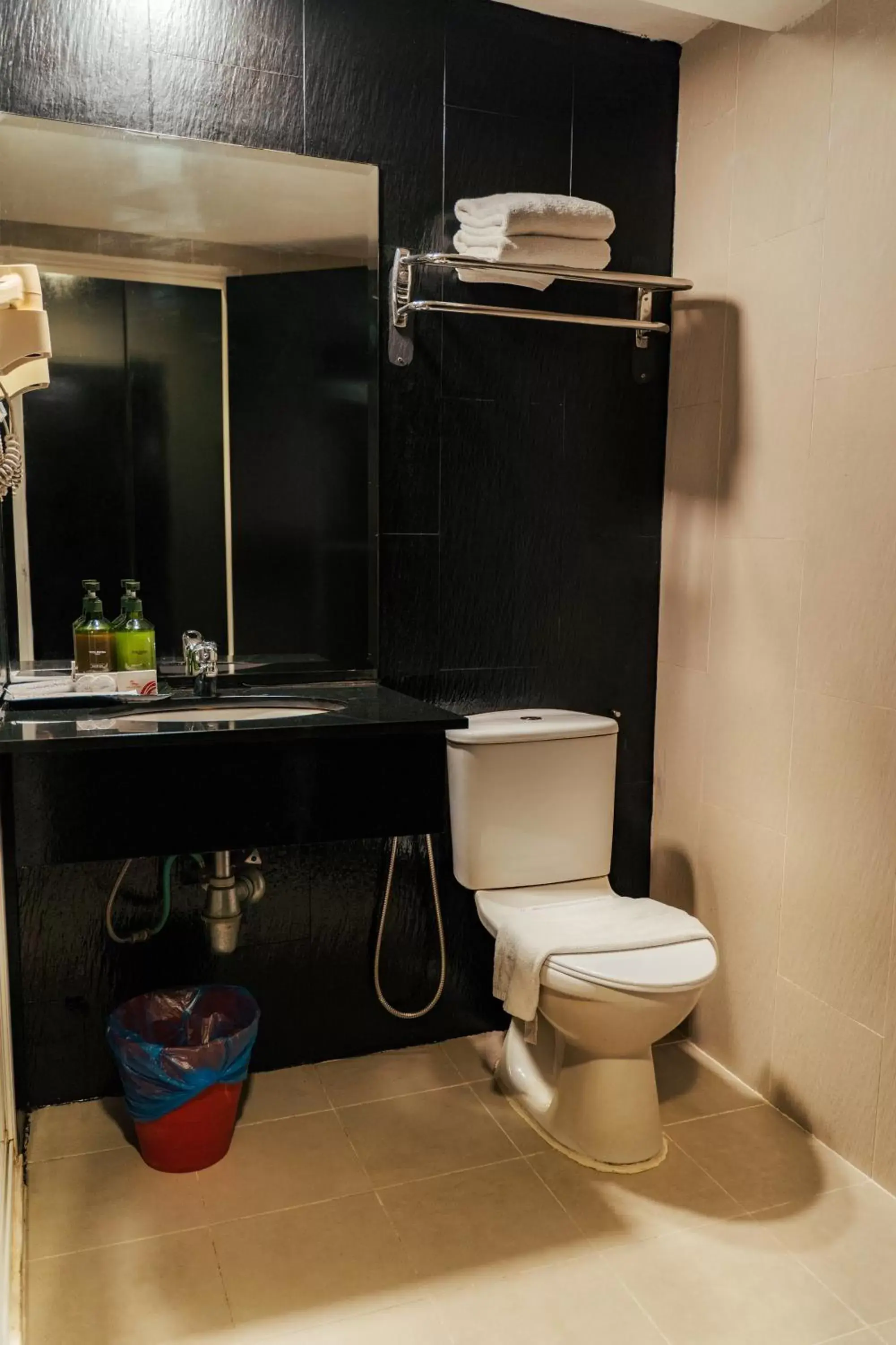 Toilet, Bathroom in Hotel Sentral Riverview Melaka