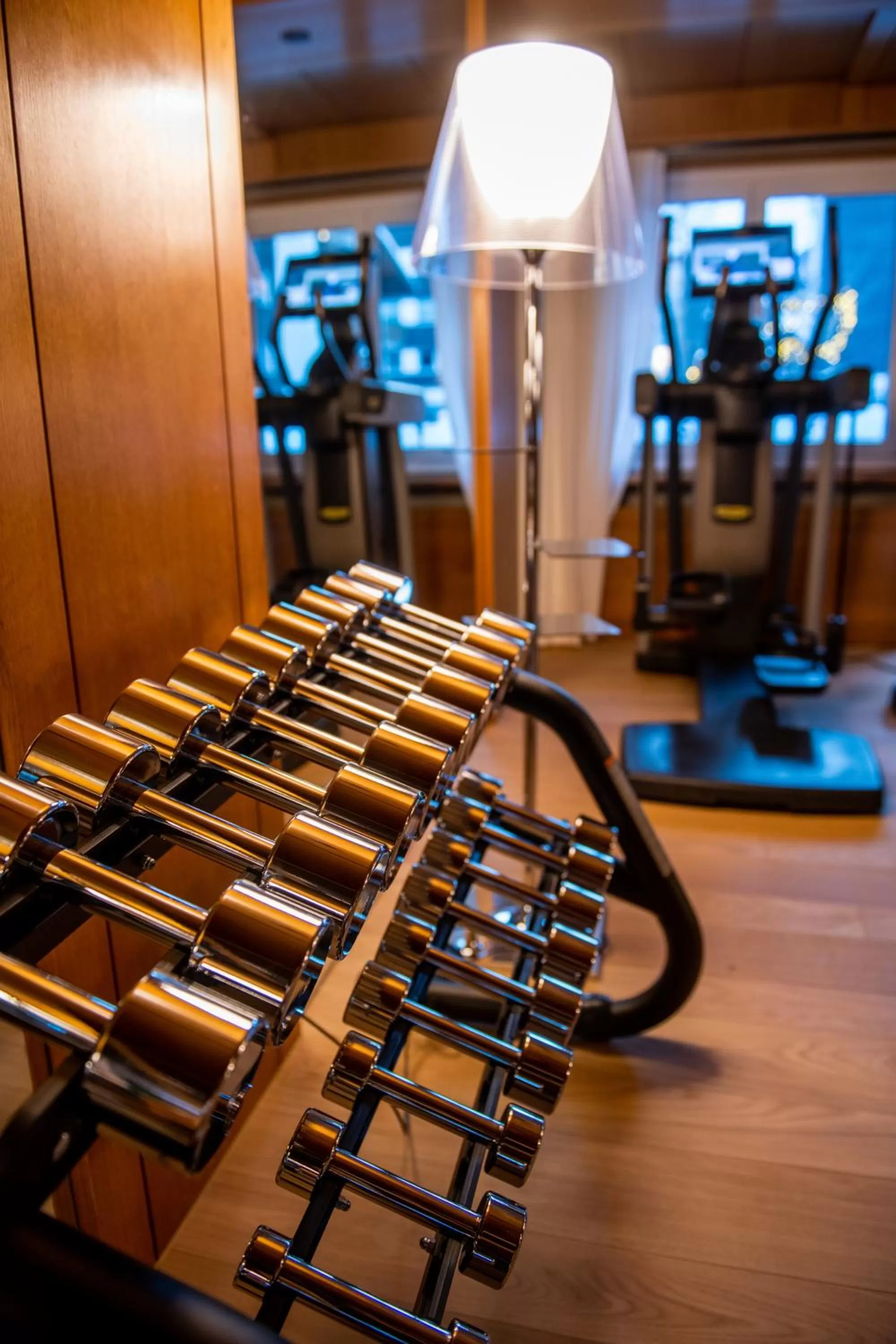 Fitness centre/facilities in Schweizerhof Zermatt - a Small Luxury Hotel