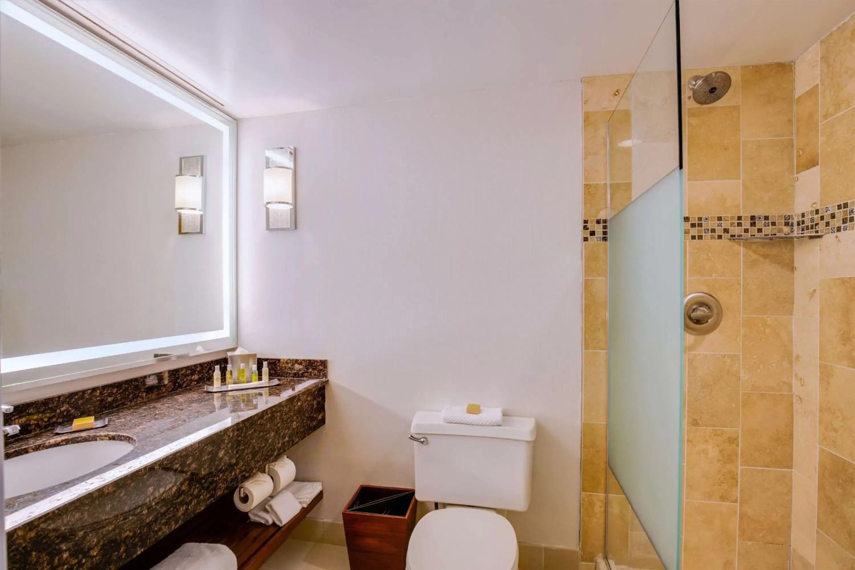 Bathroom in DoubleTree Suites by Hilton Hotel & Conference Center Chicago-Downers Grove