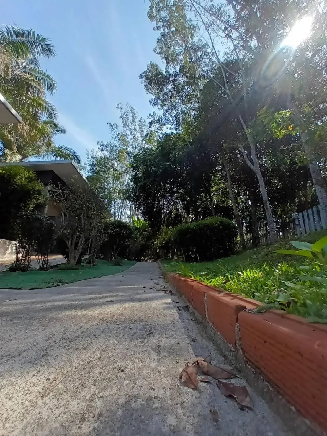 Garden in BaanPhong Lanta